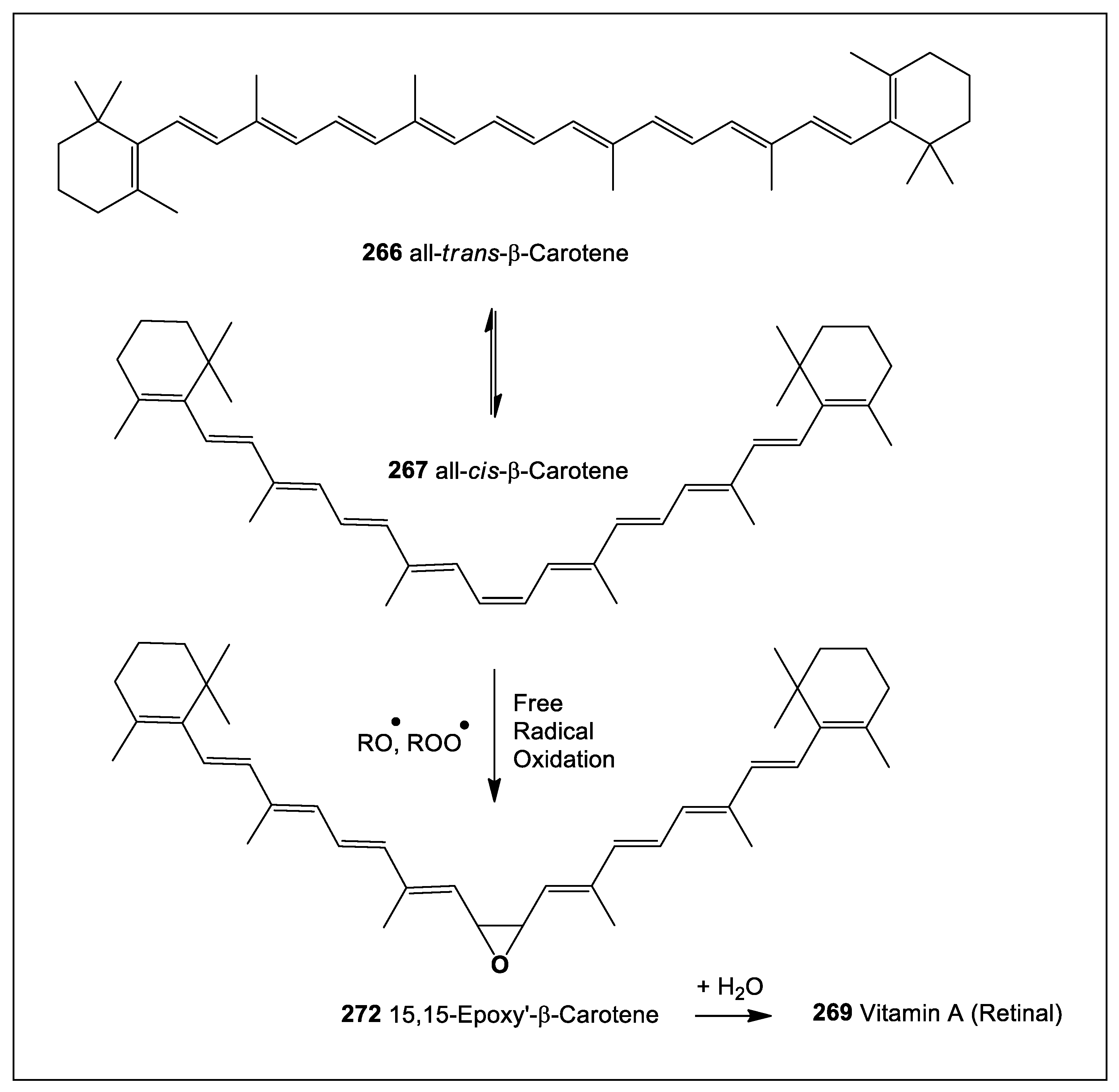 Preprints 104528 sch021