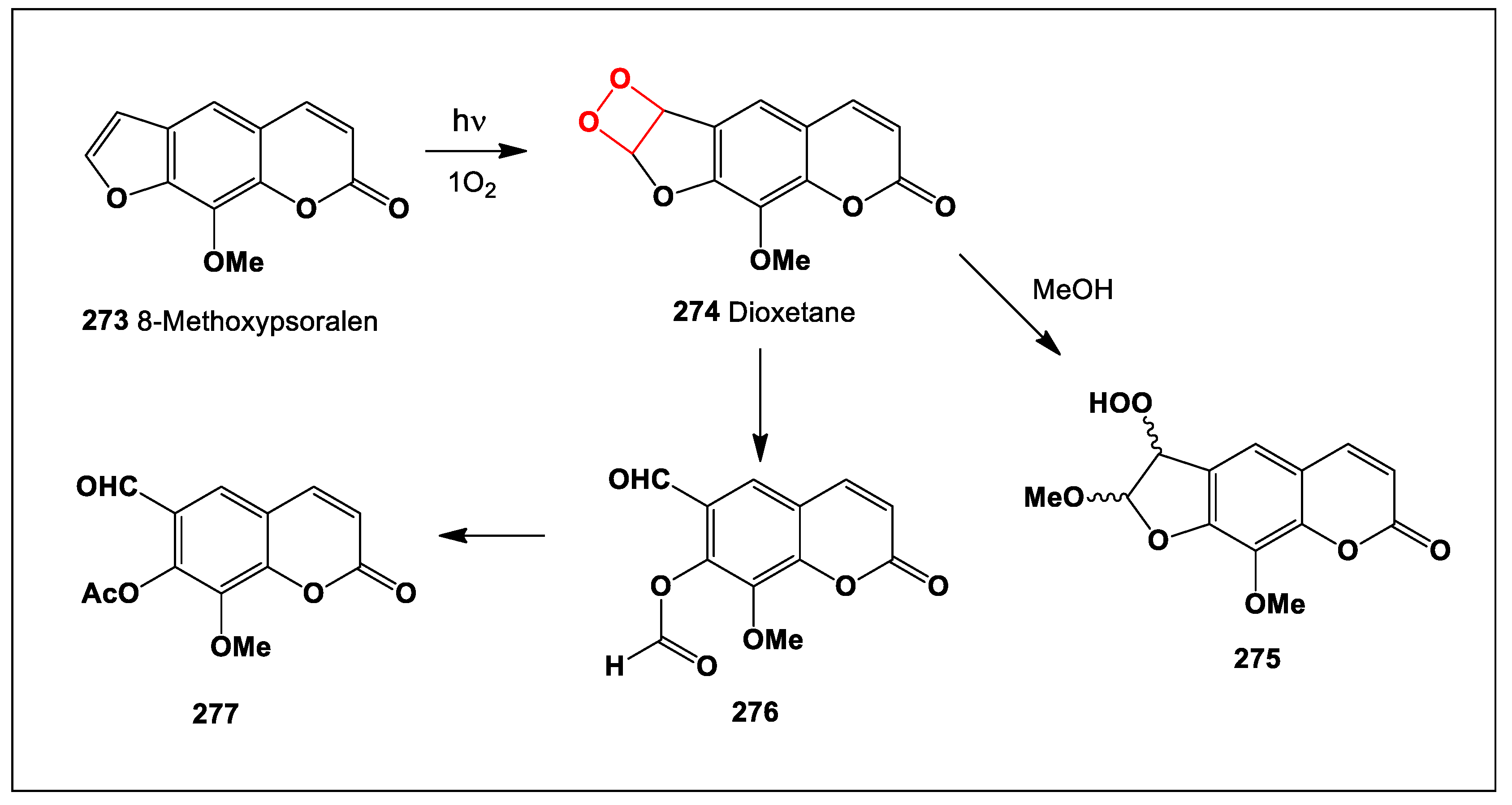 Preprints 104528 sch022