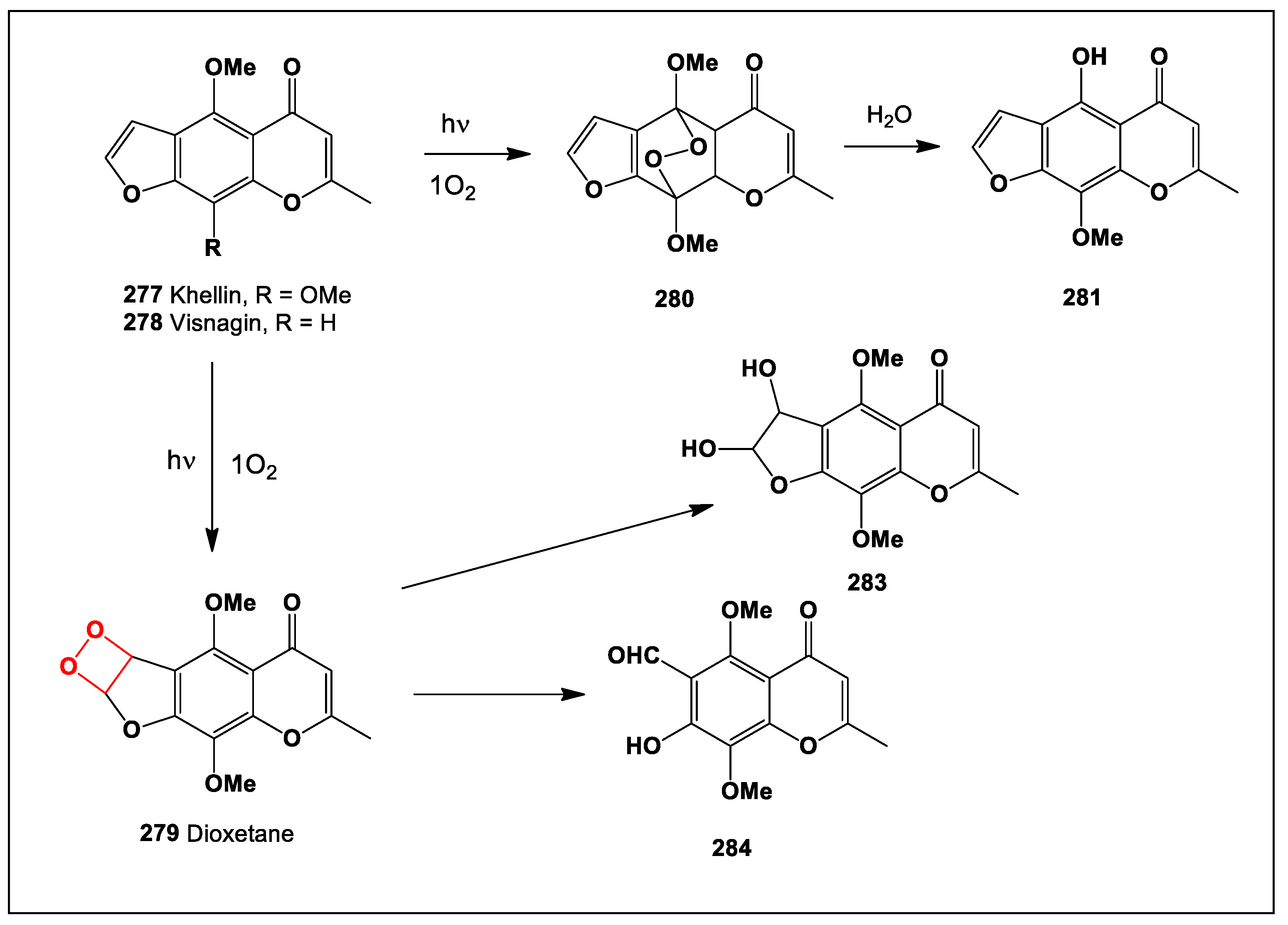 Preprints 104528 sch023