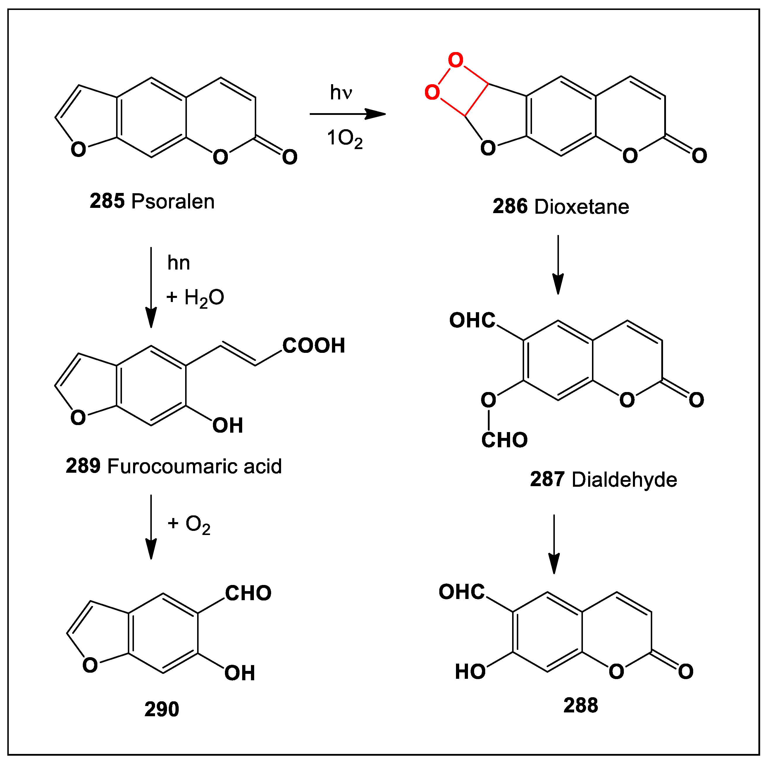 Preprints 104528 sch024