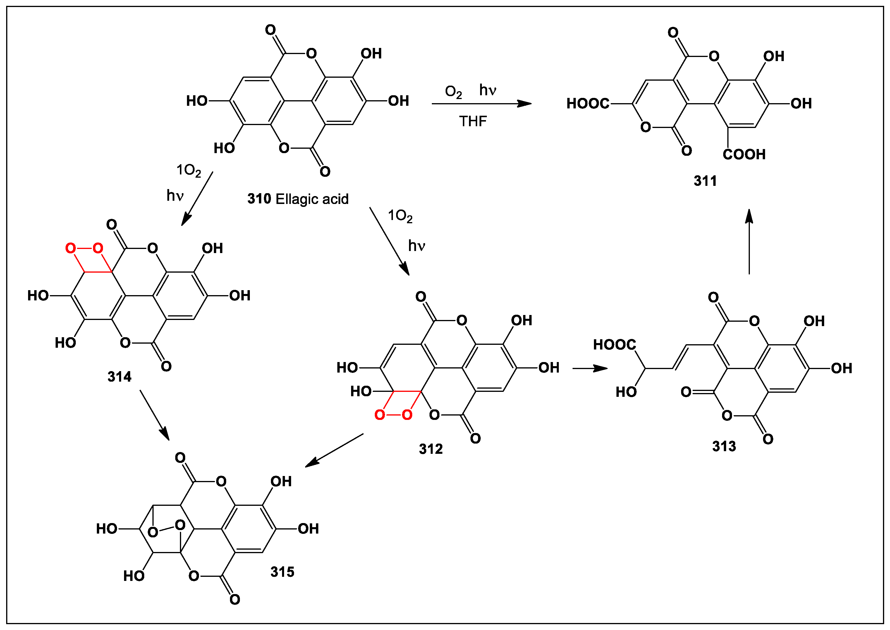 Preprints 104528 sch028