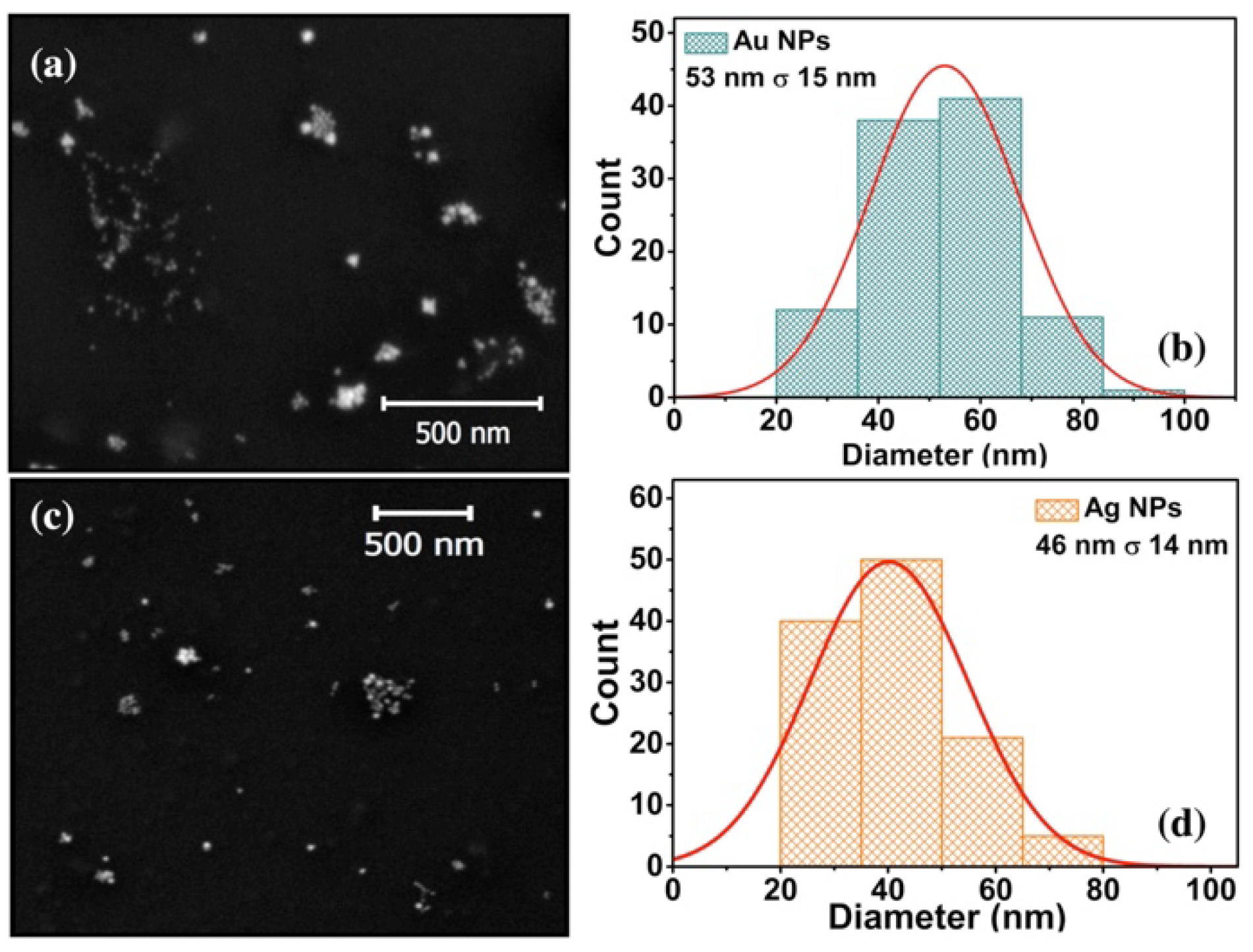 Preprints 75583 g002