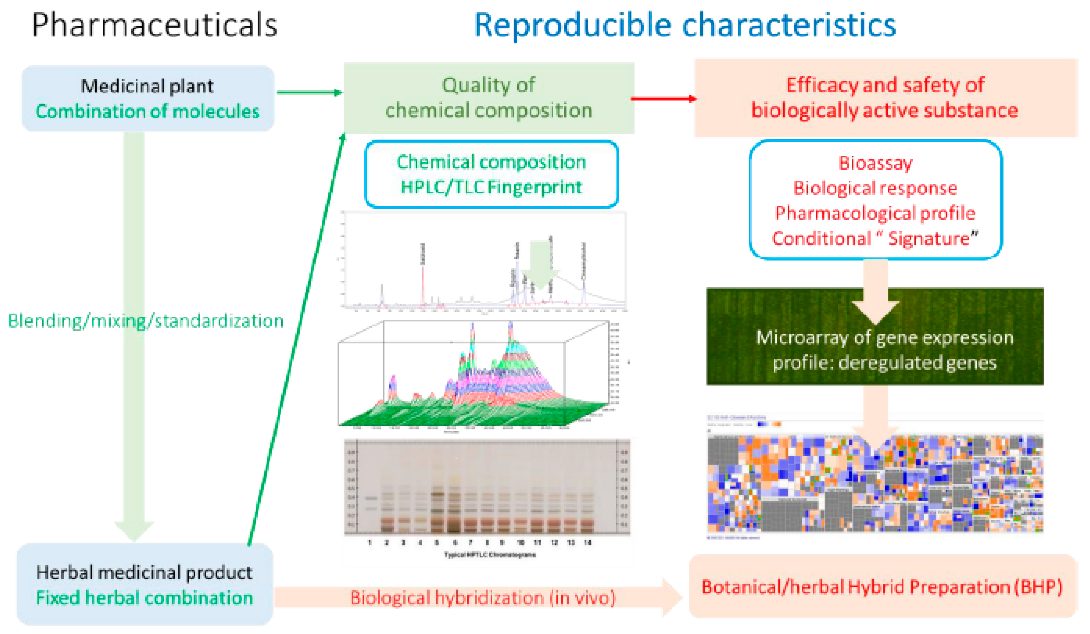 Preprints 101428 g002