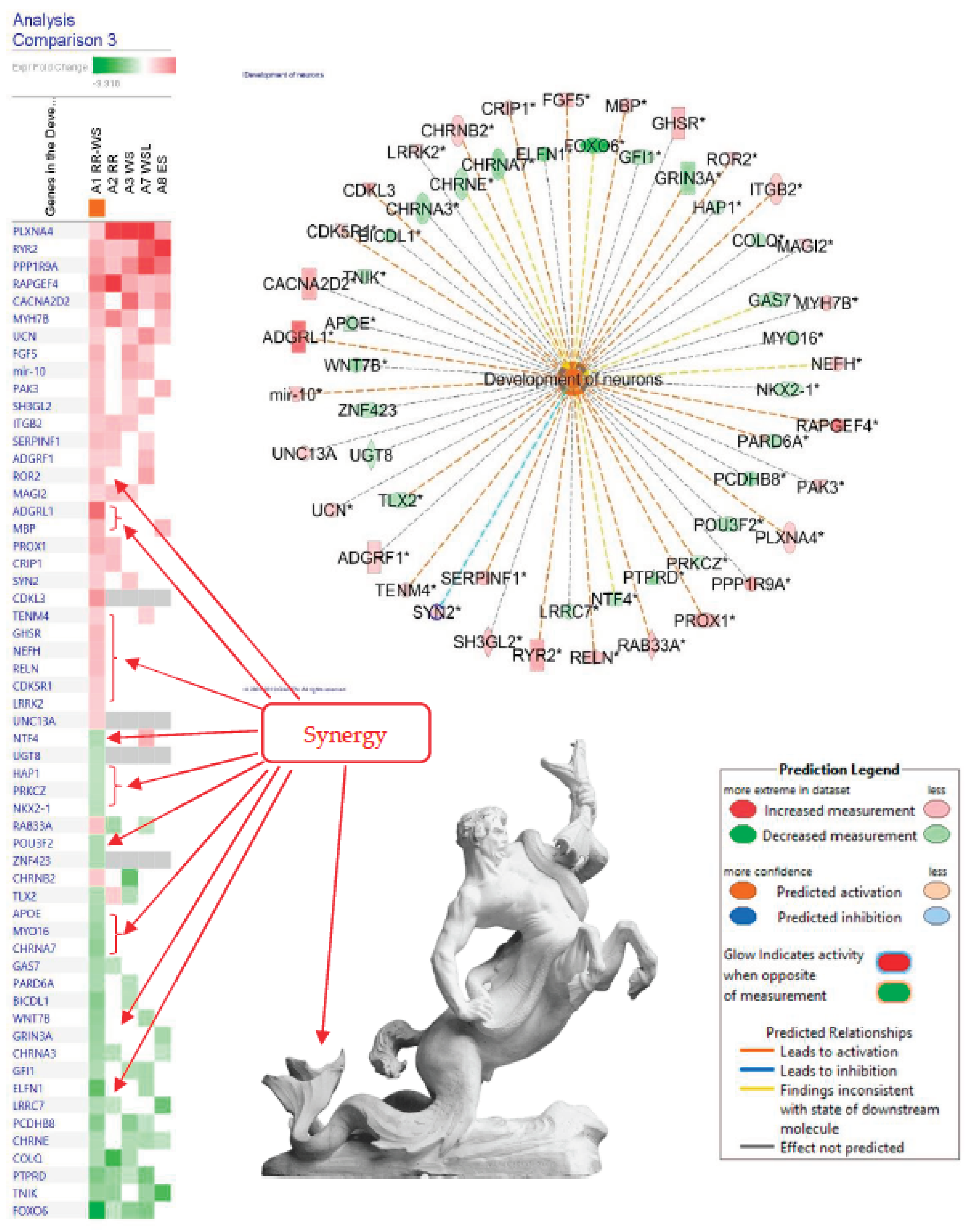 Preprints 101428 g005