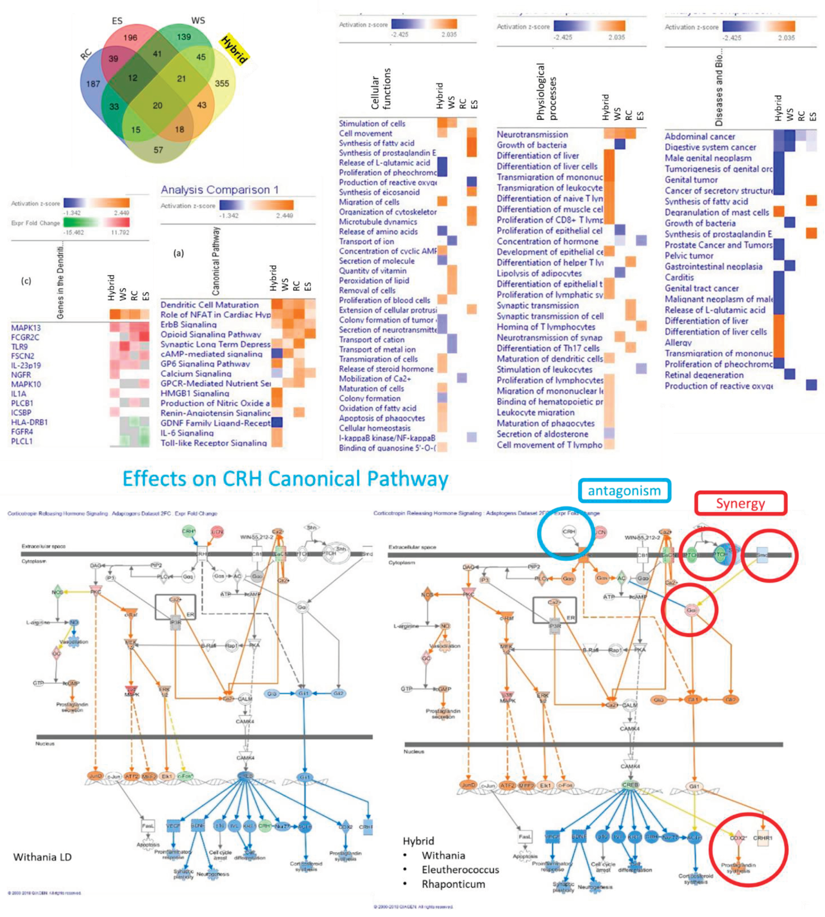 Preprints 101428 g006