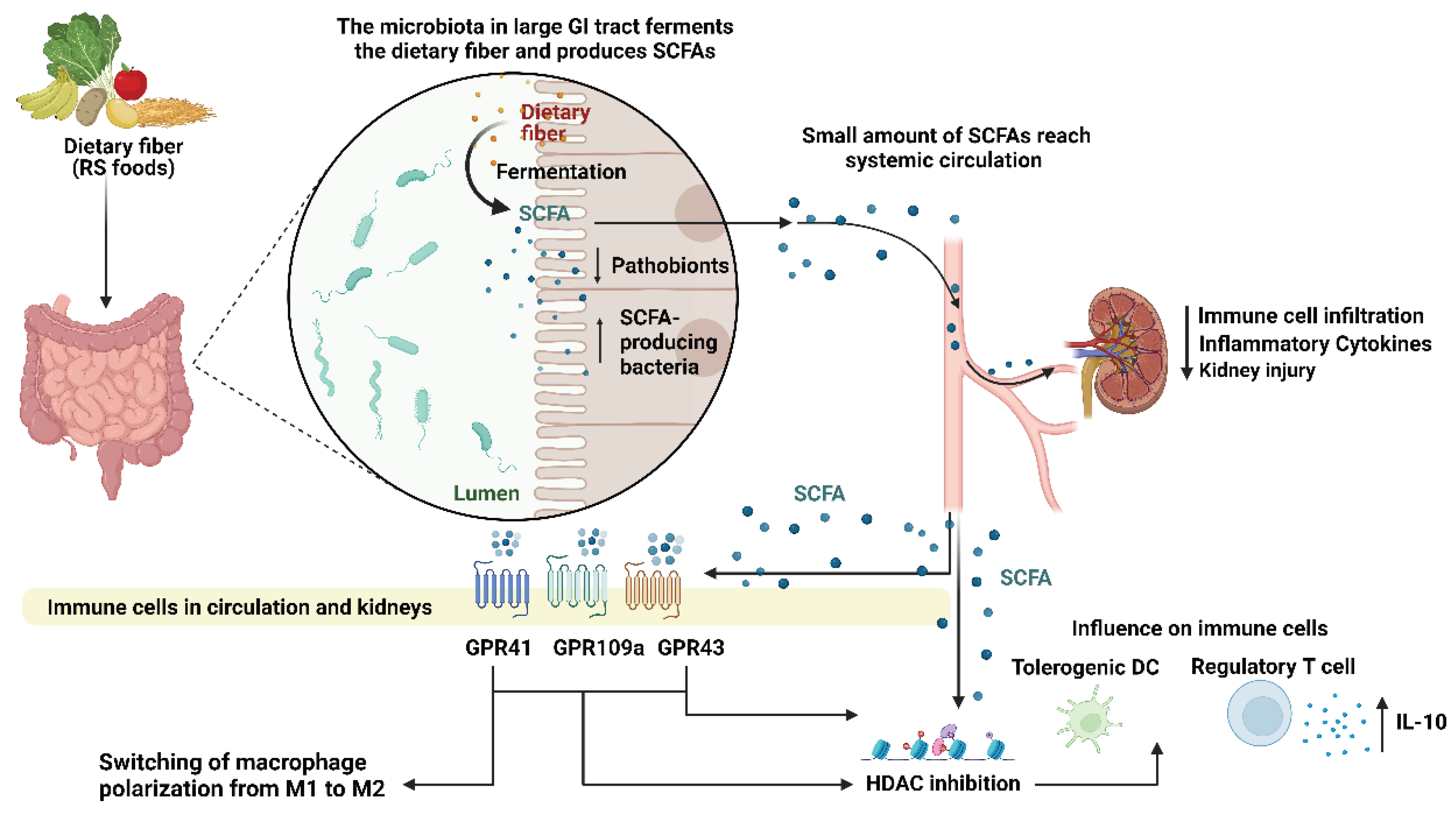 Preprints 102015 g001