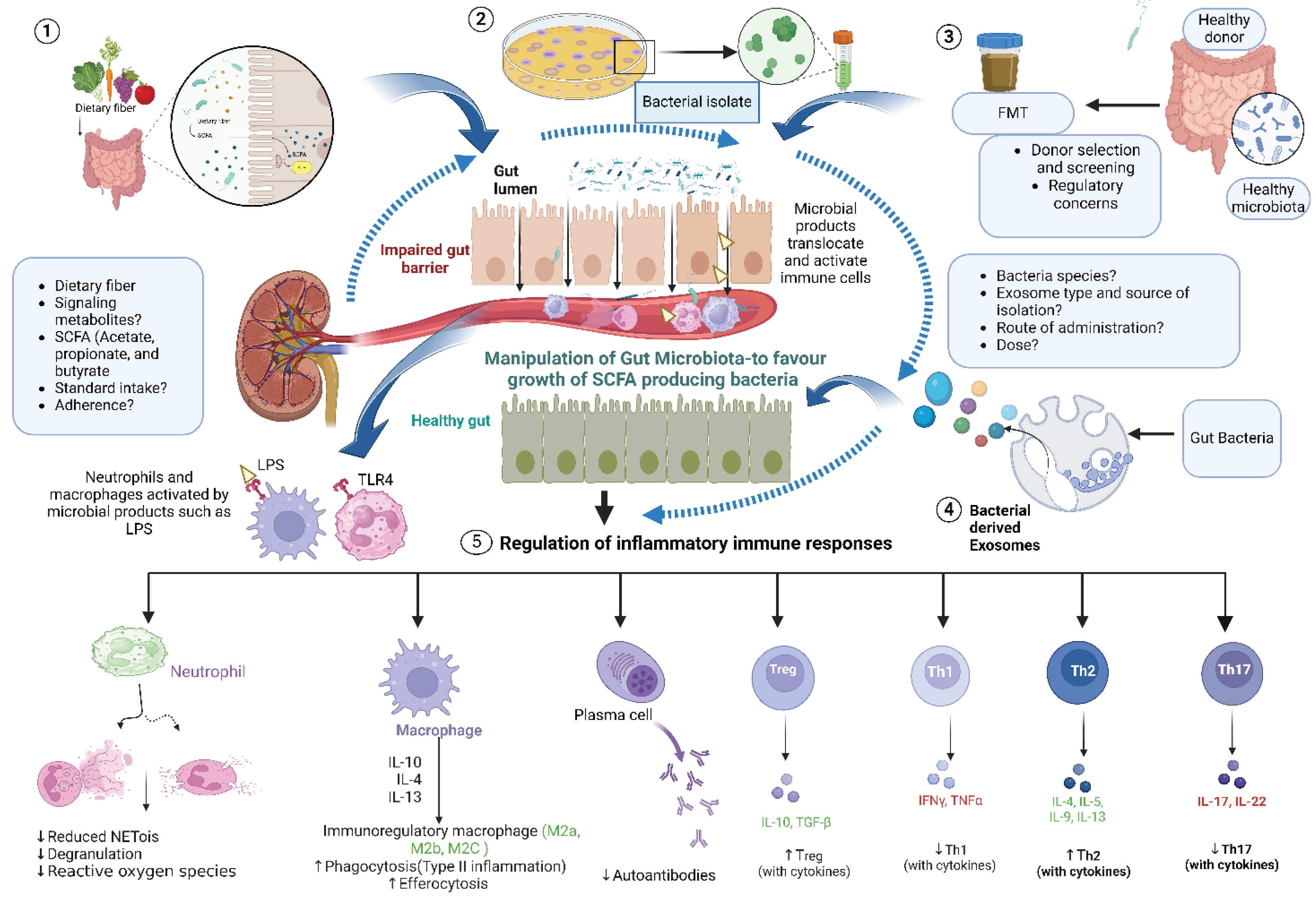 Preprints 102015 g002