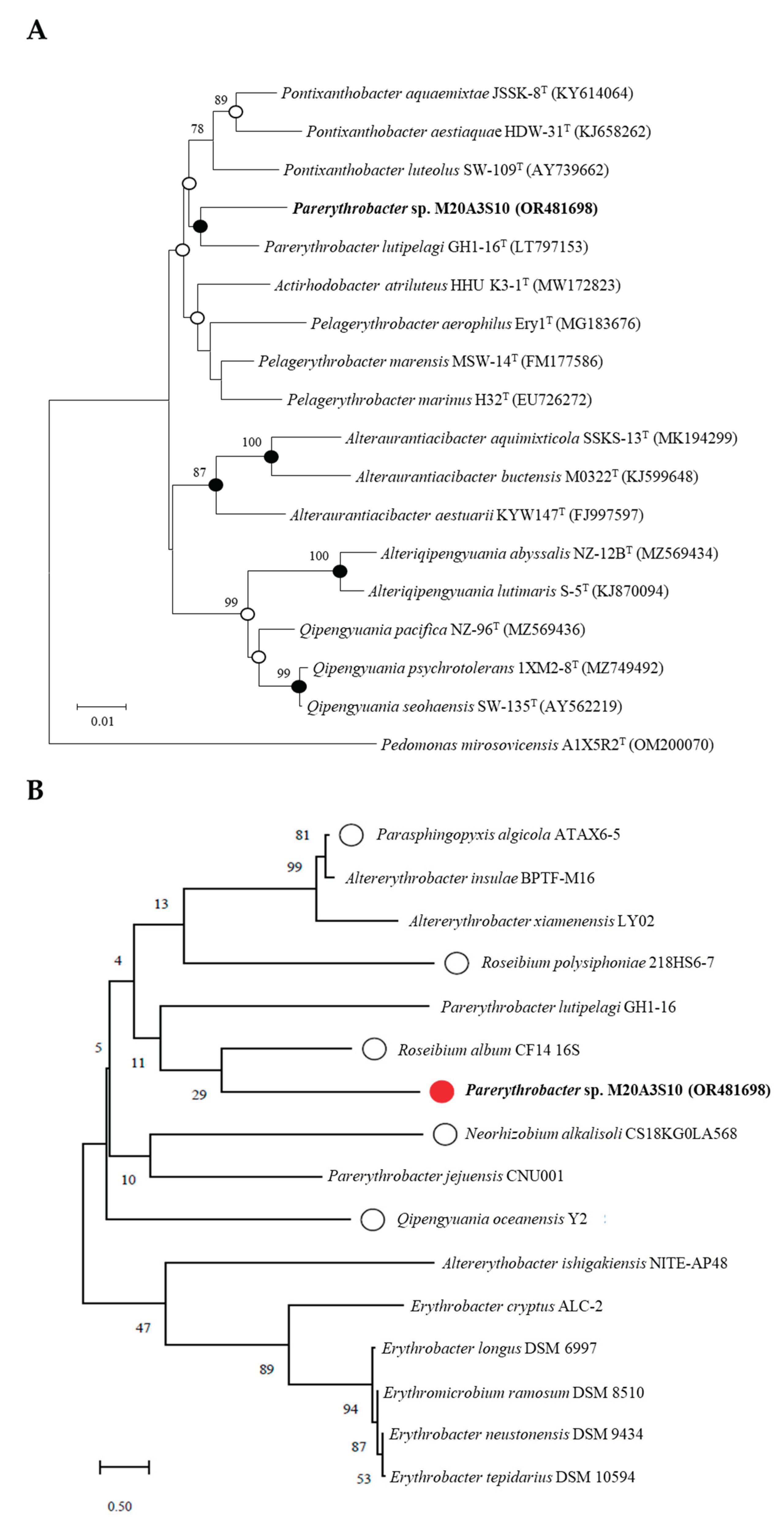 Preprints 100882 g001