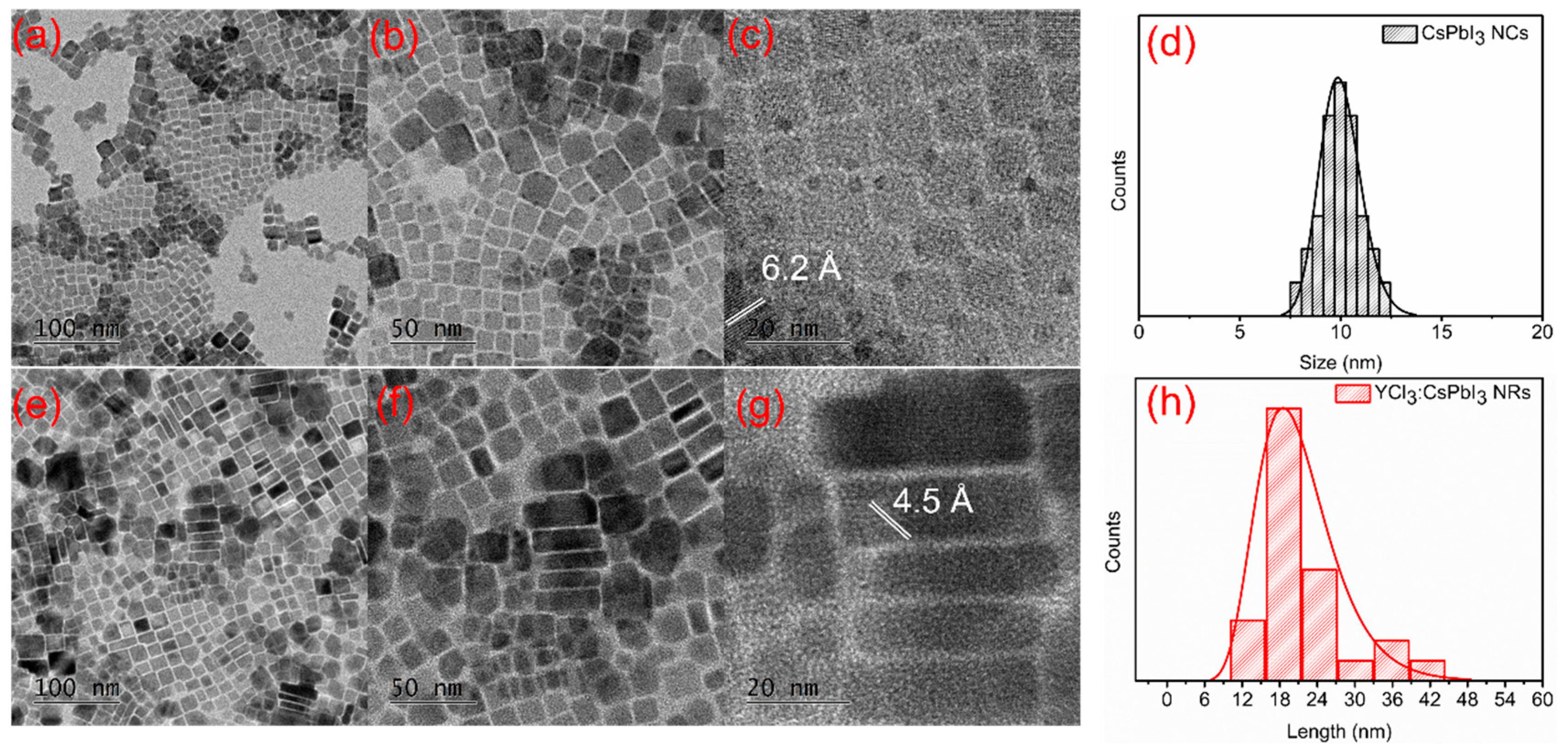 Preprints 70069 g001