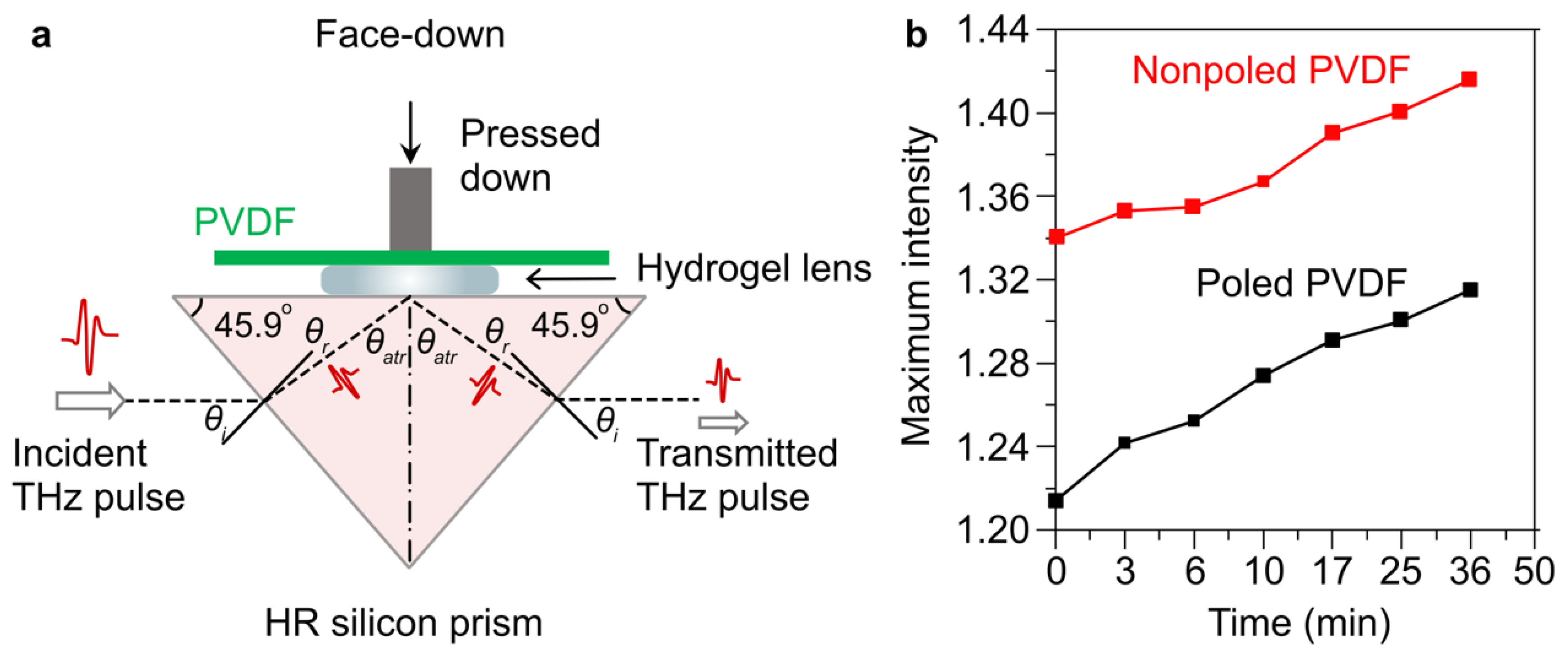 Preprints 72151 g002