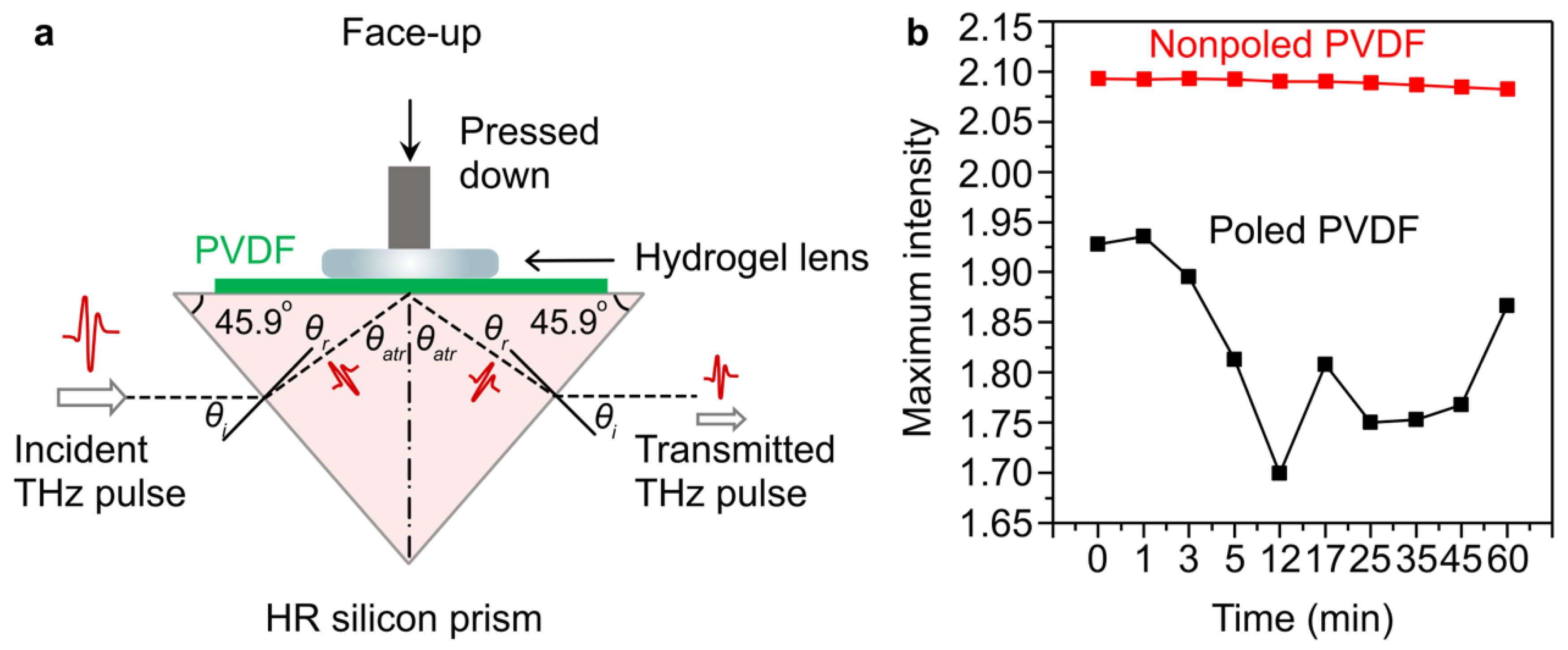 Preprints 72151 g004