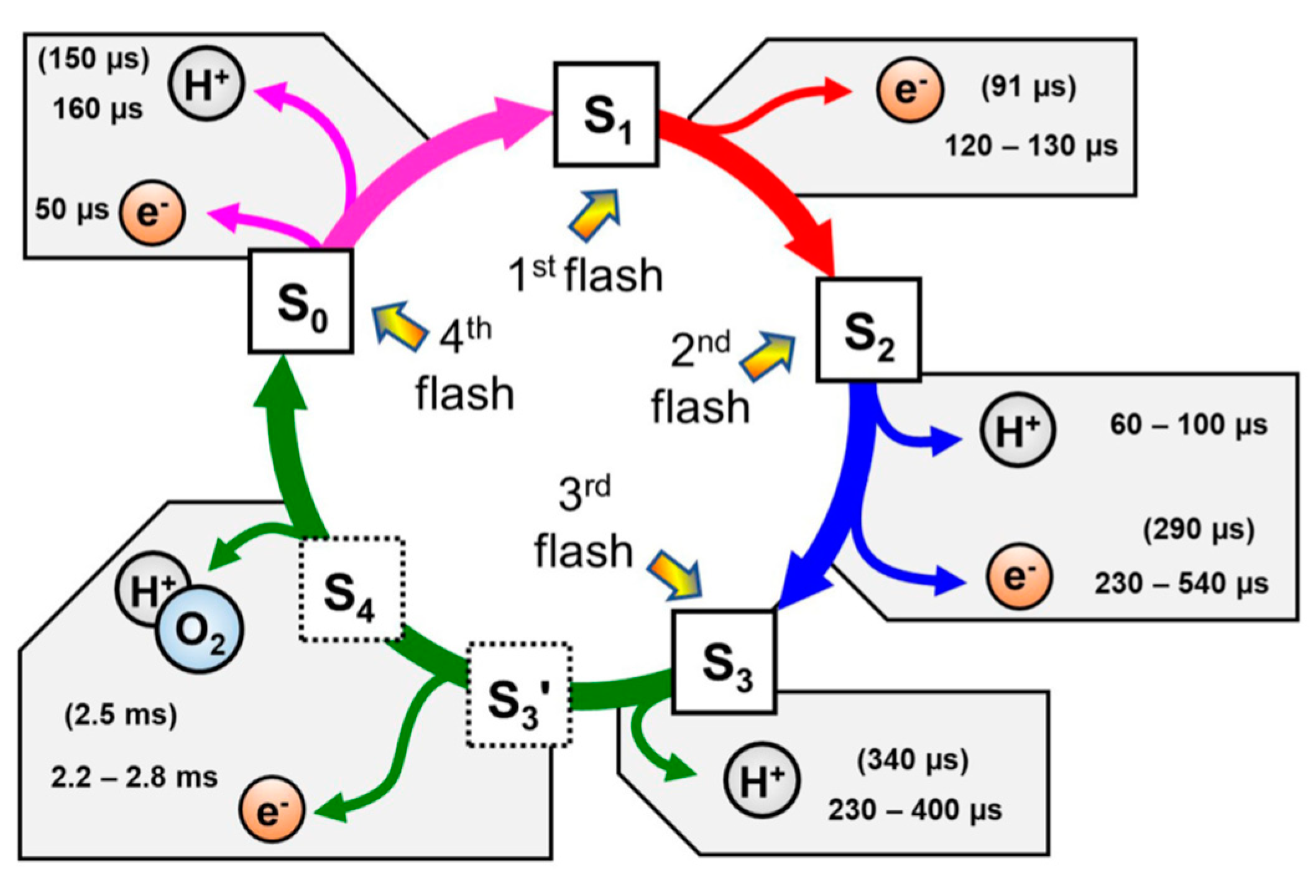 Preprints 83863 g001