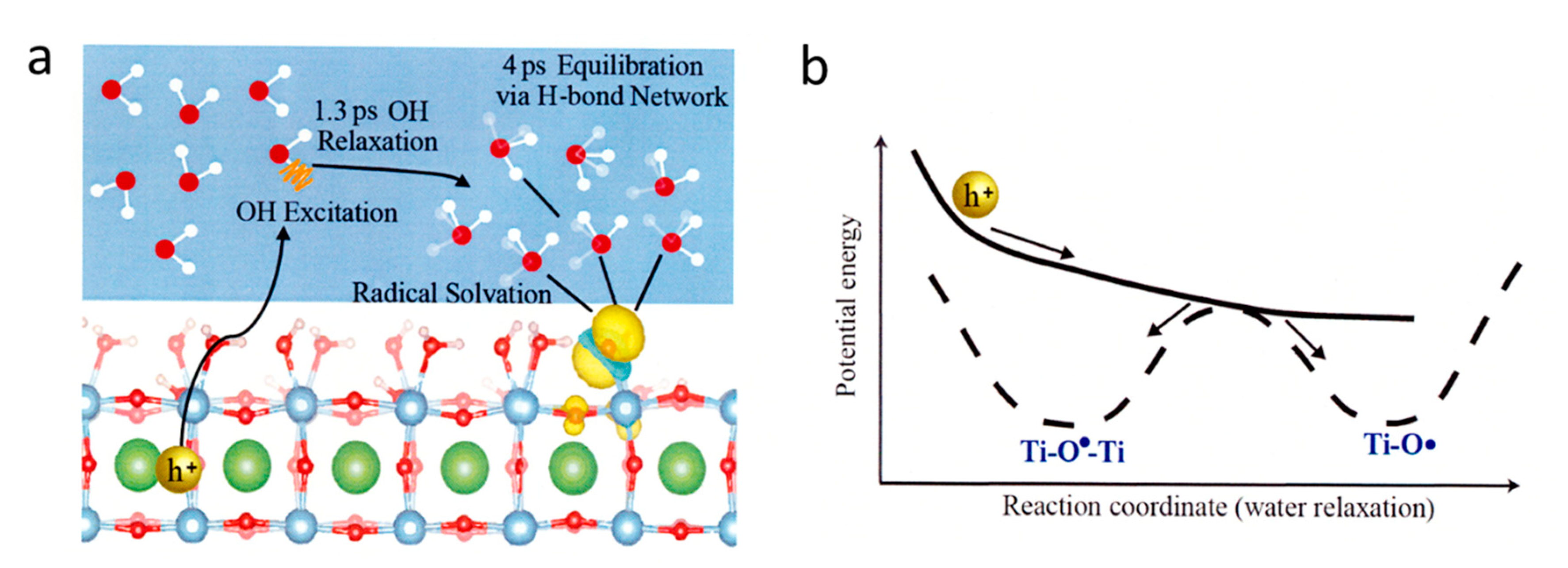 Preprints 83863 g009