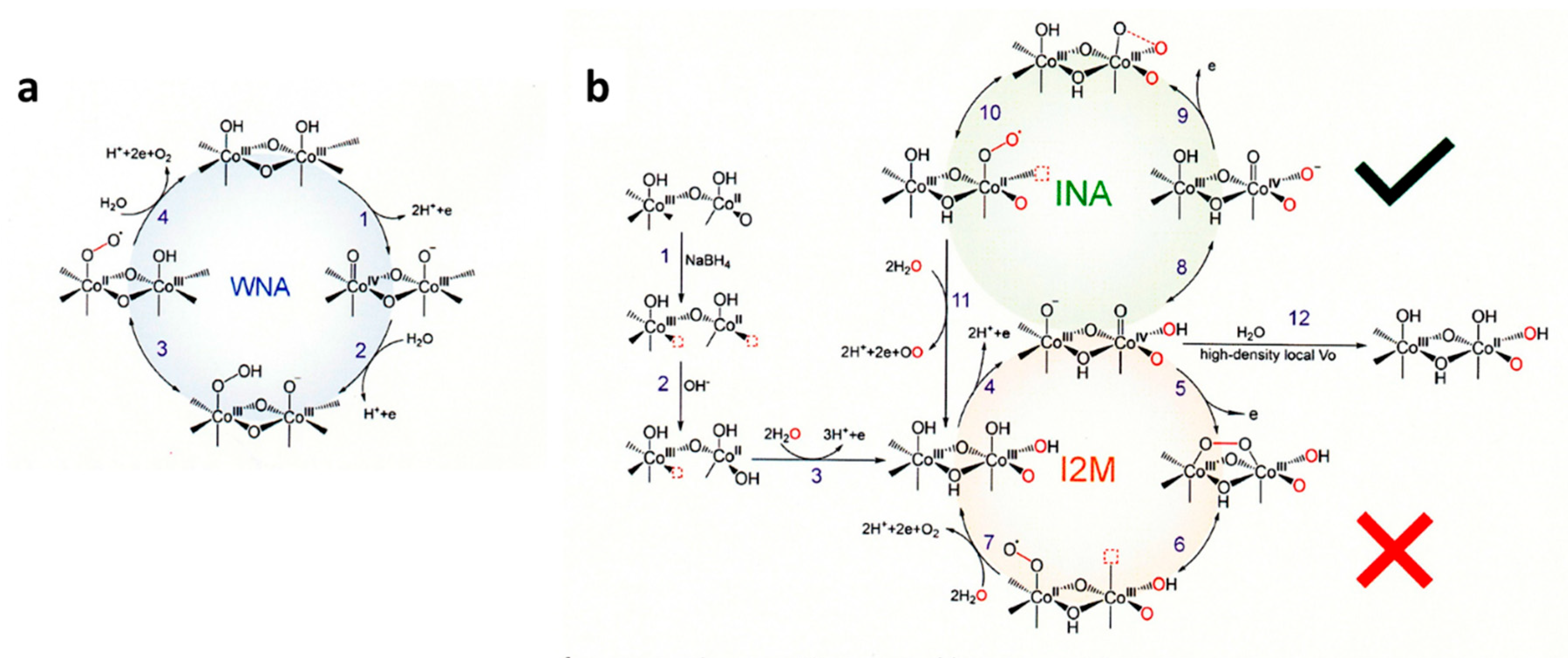 Preprints 83863 g012