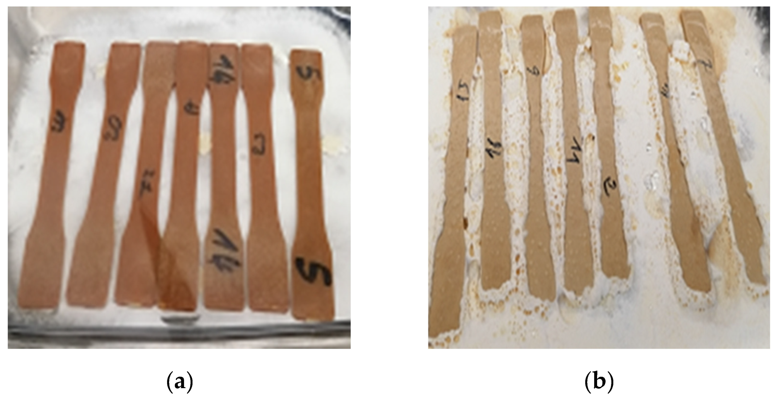 Preprints 81310 g007