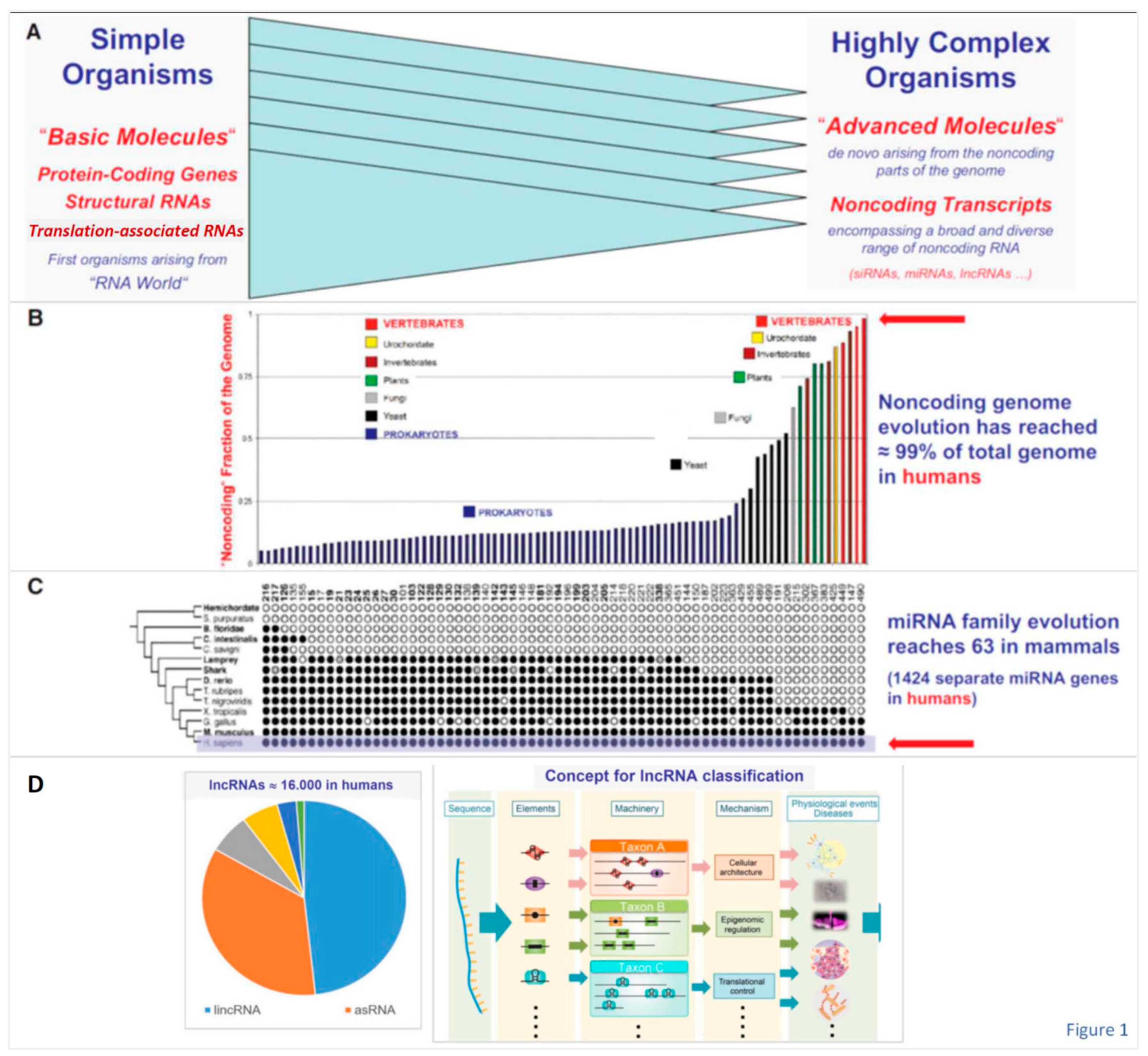 Preprints 87121 g001