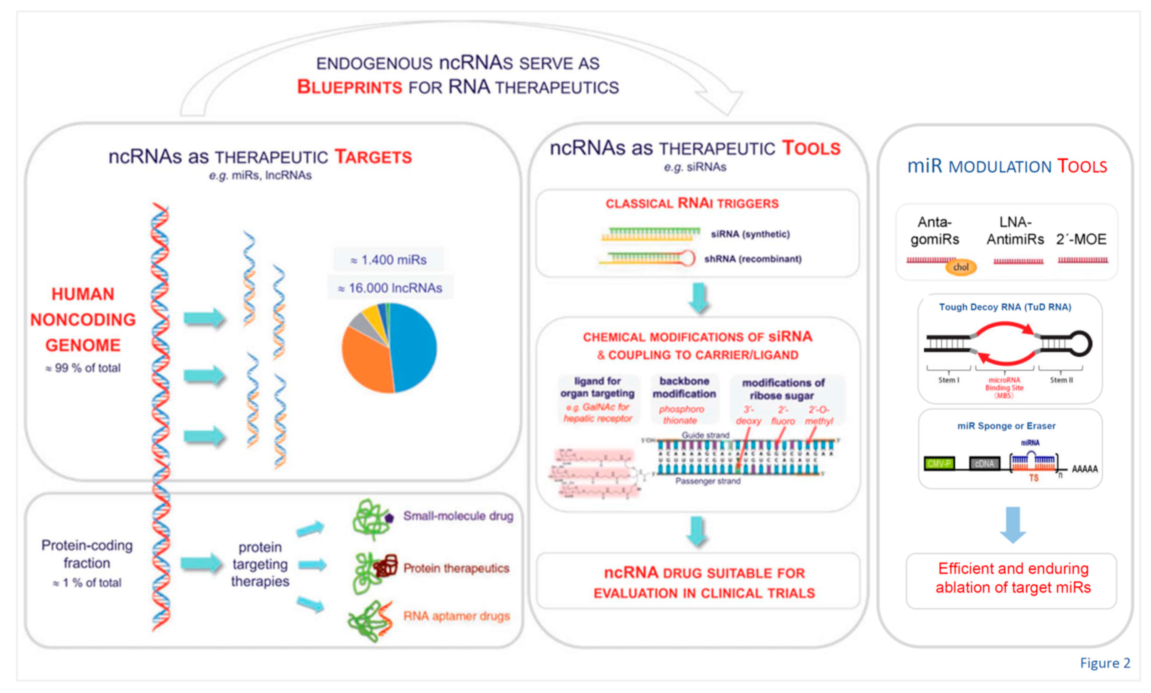 Preprints 87121 g002