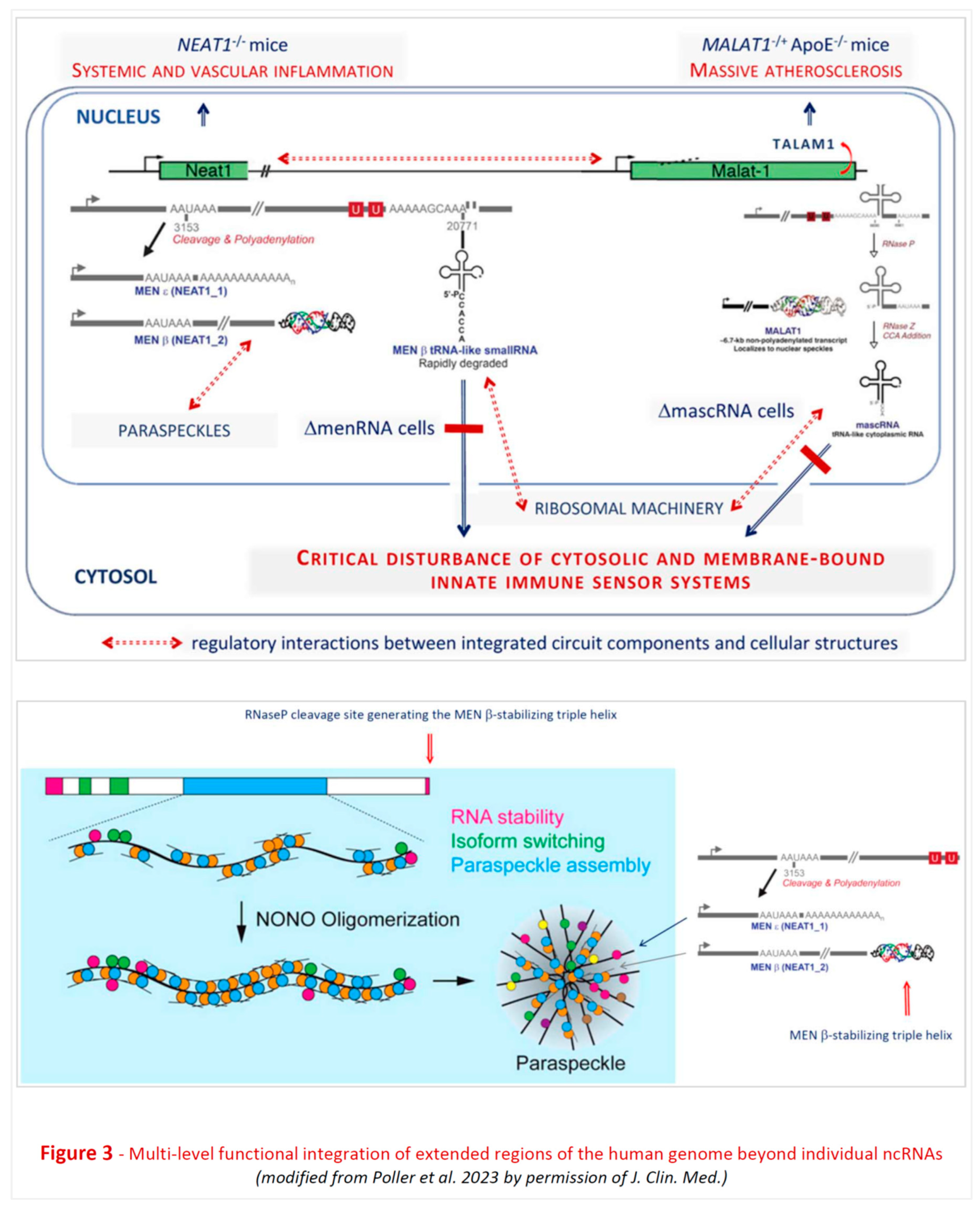 Preprints 87121 g003