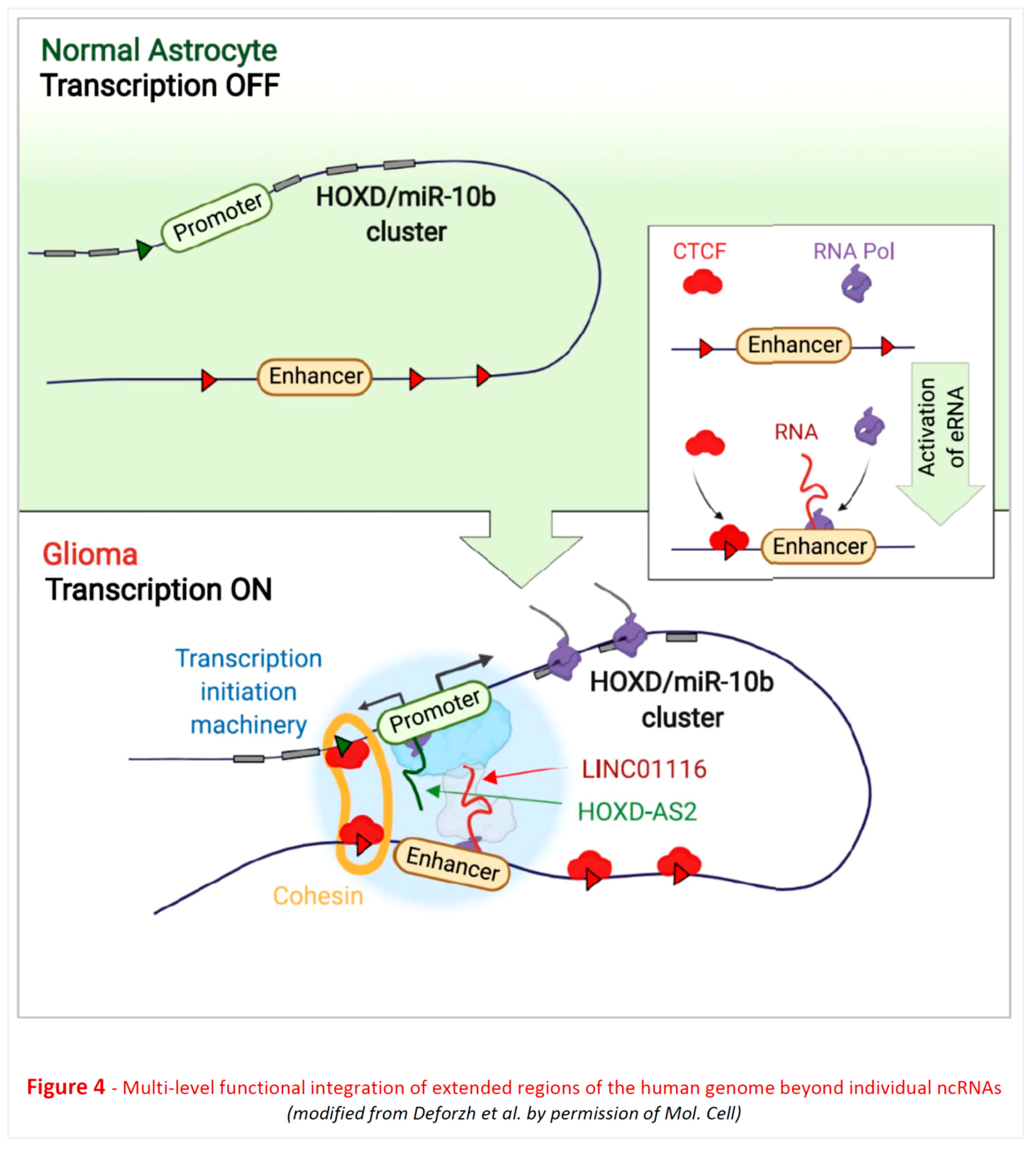 Preprints 87121 g004