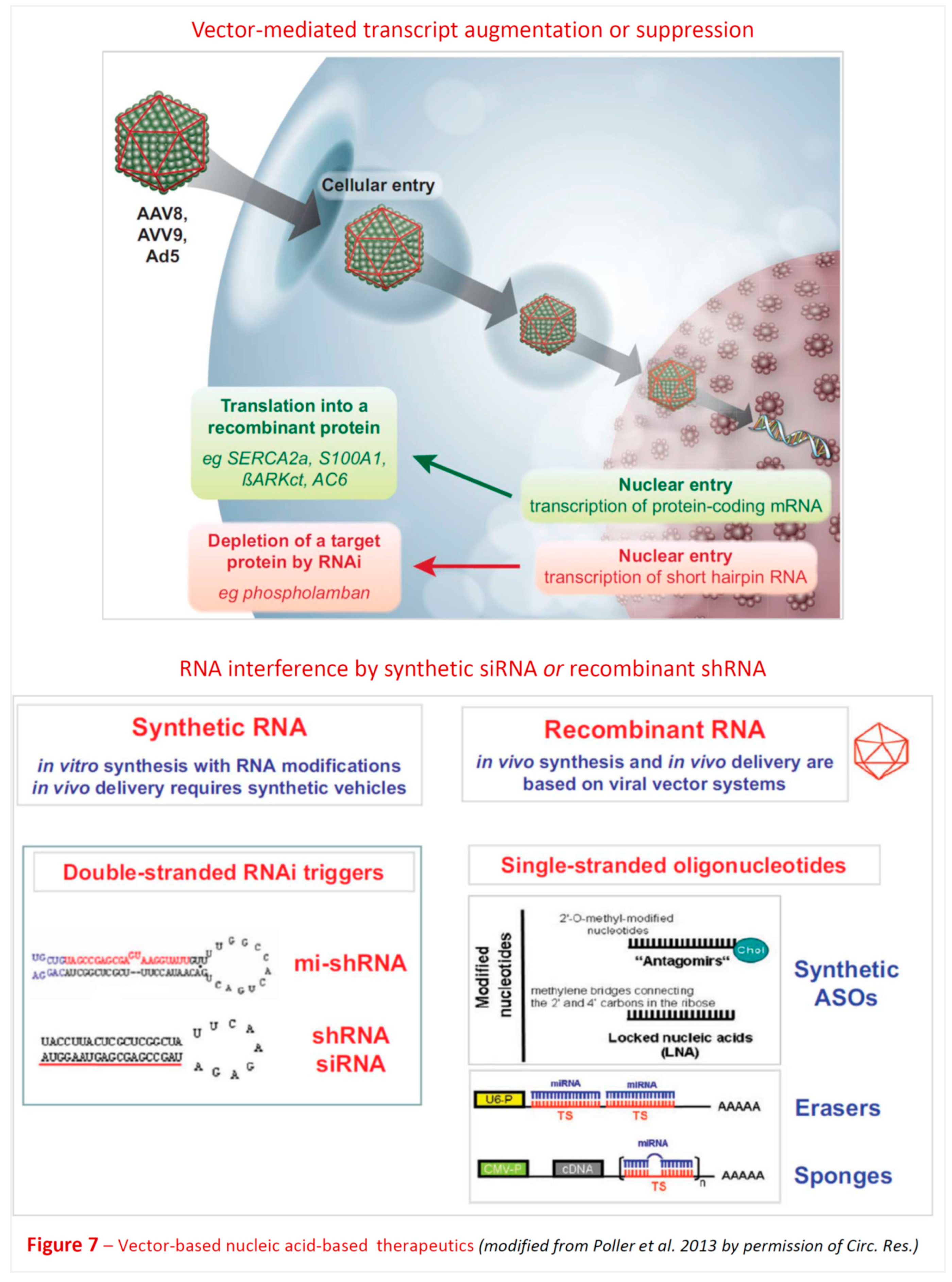 Preprints 87121 g006