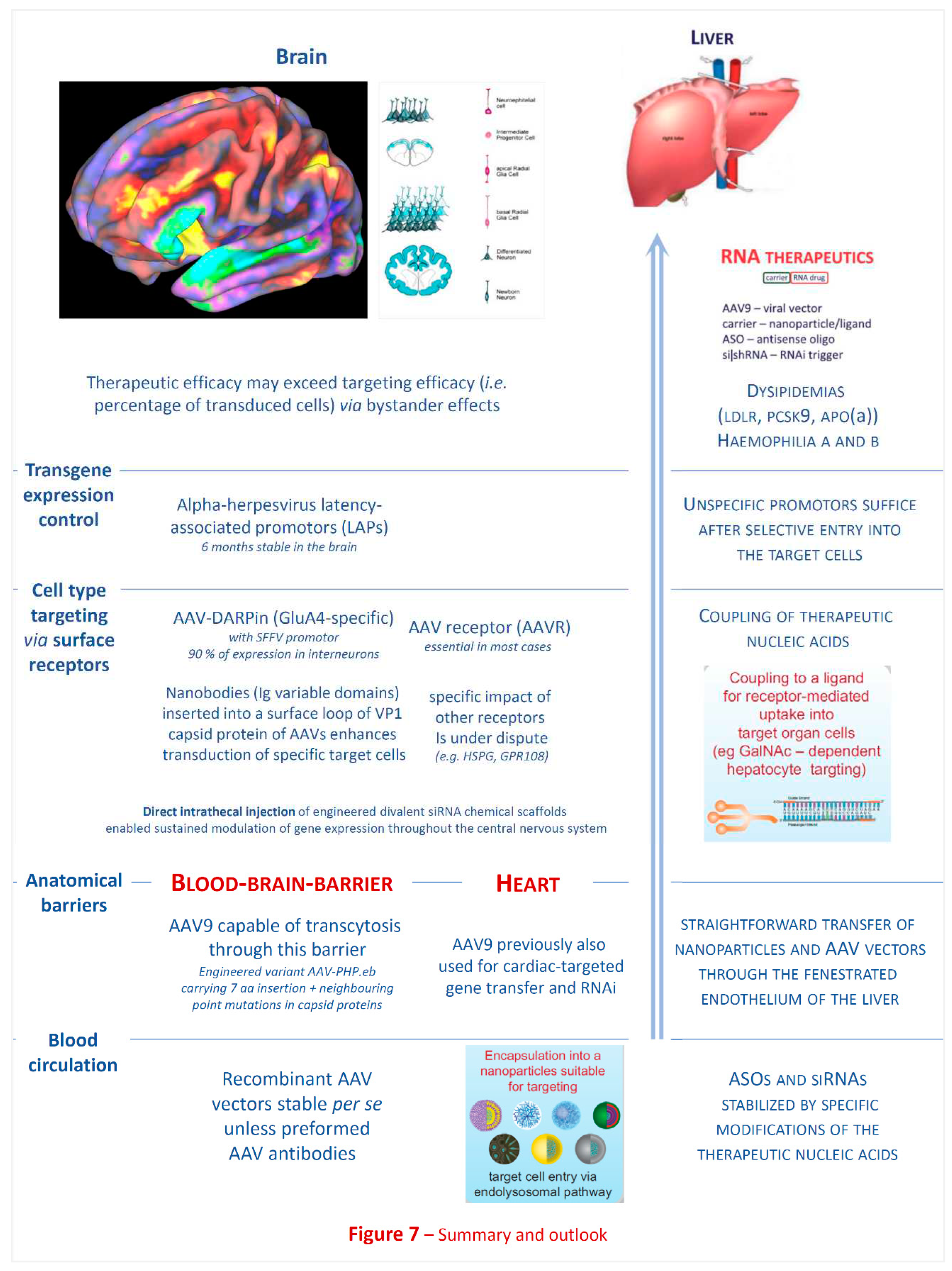 Preprints 87121 g007