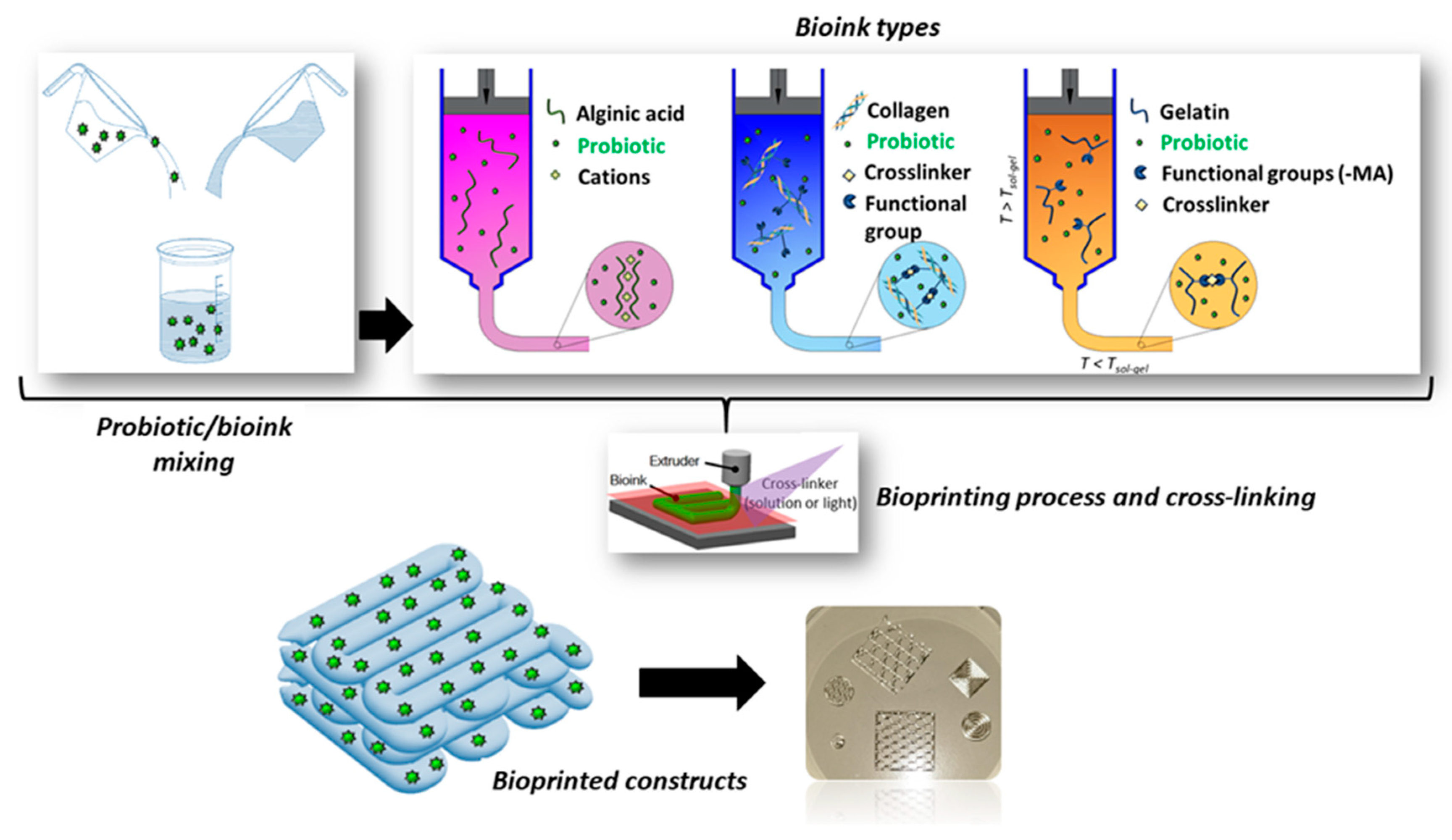 Preprints 90619 g005