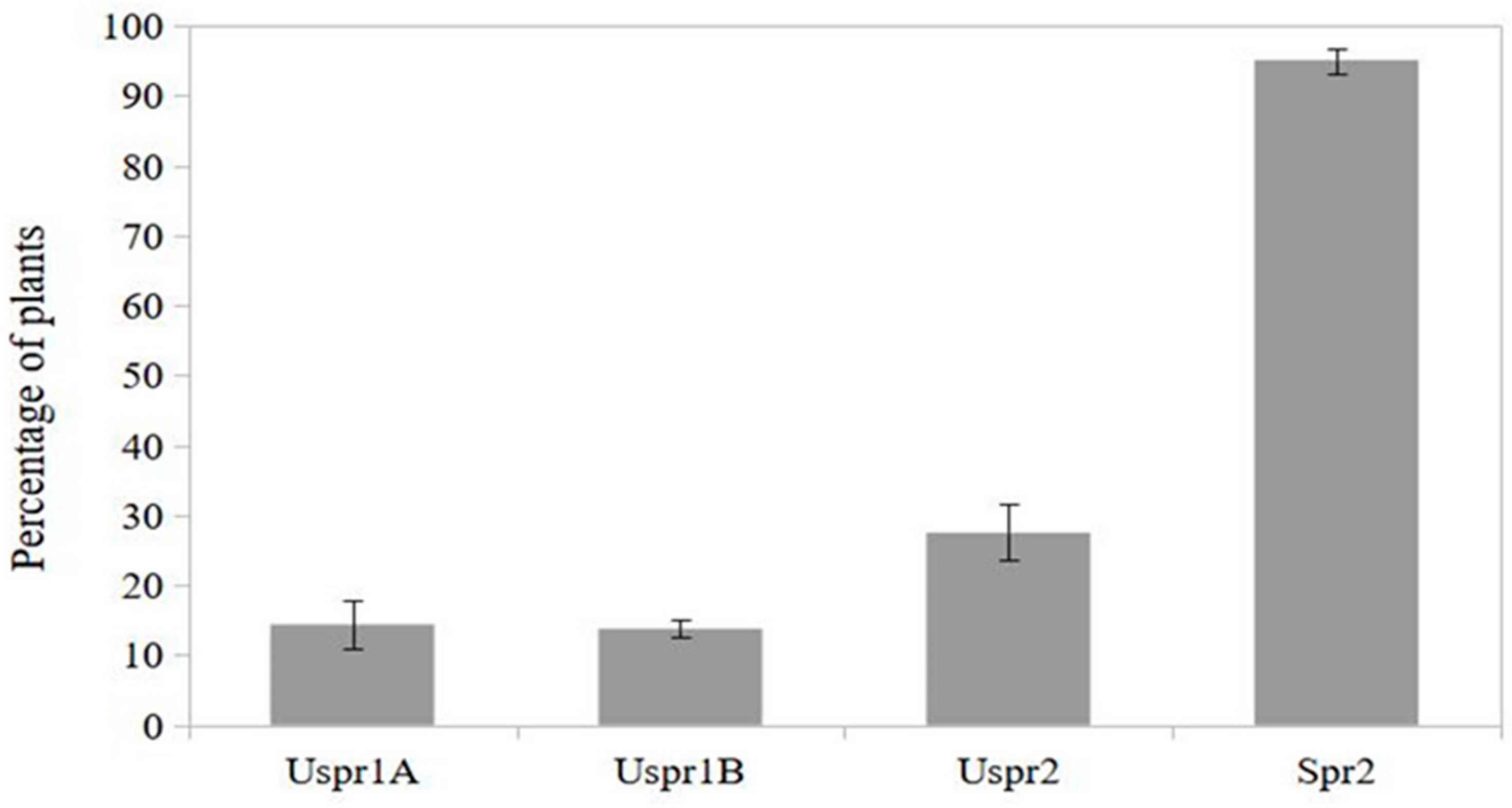 Preprints 97790 g003