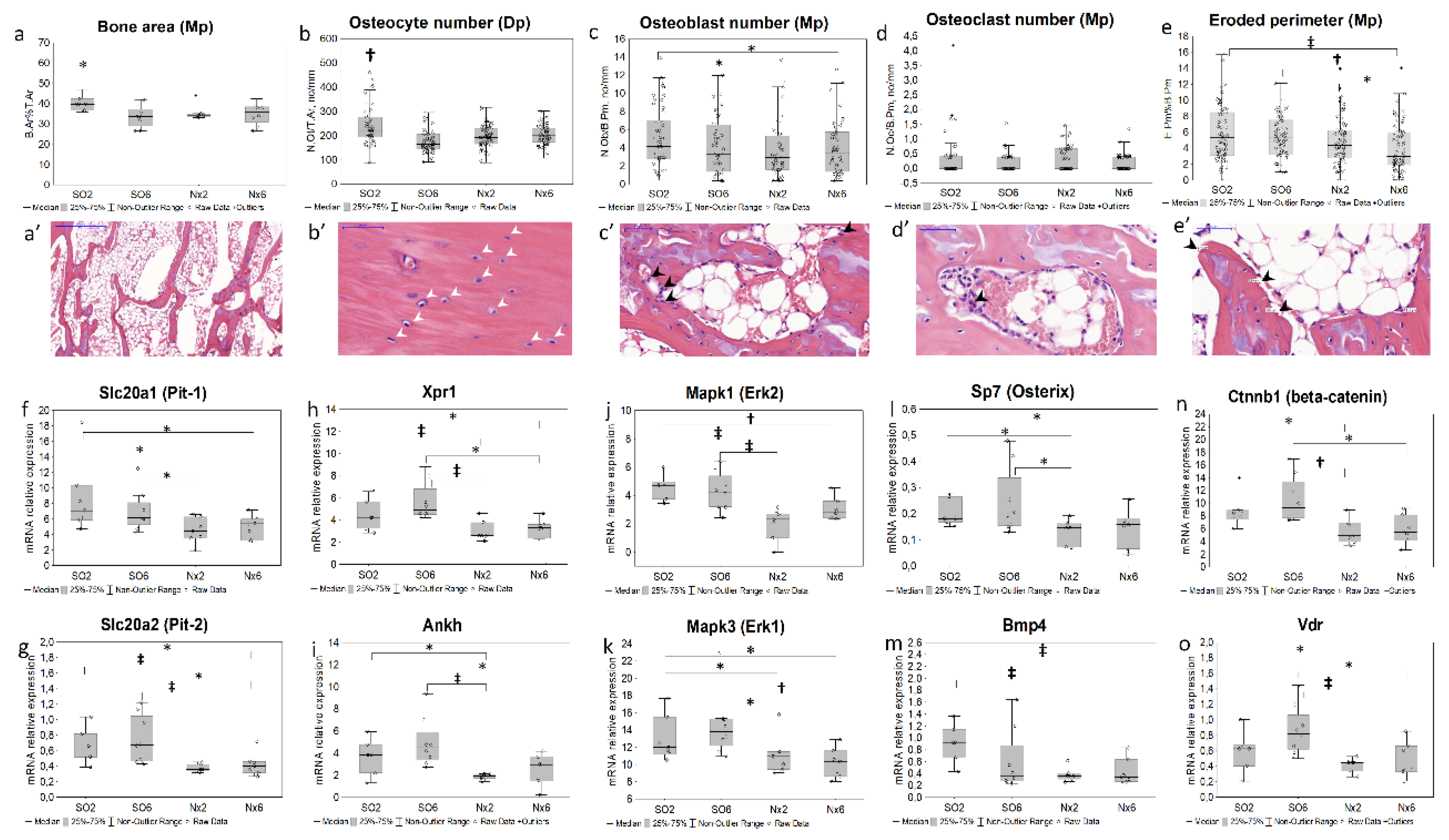 Preprints 68576 g001