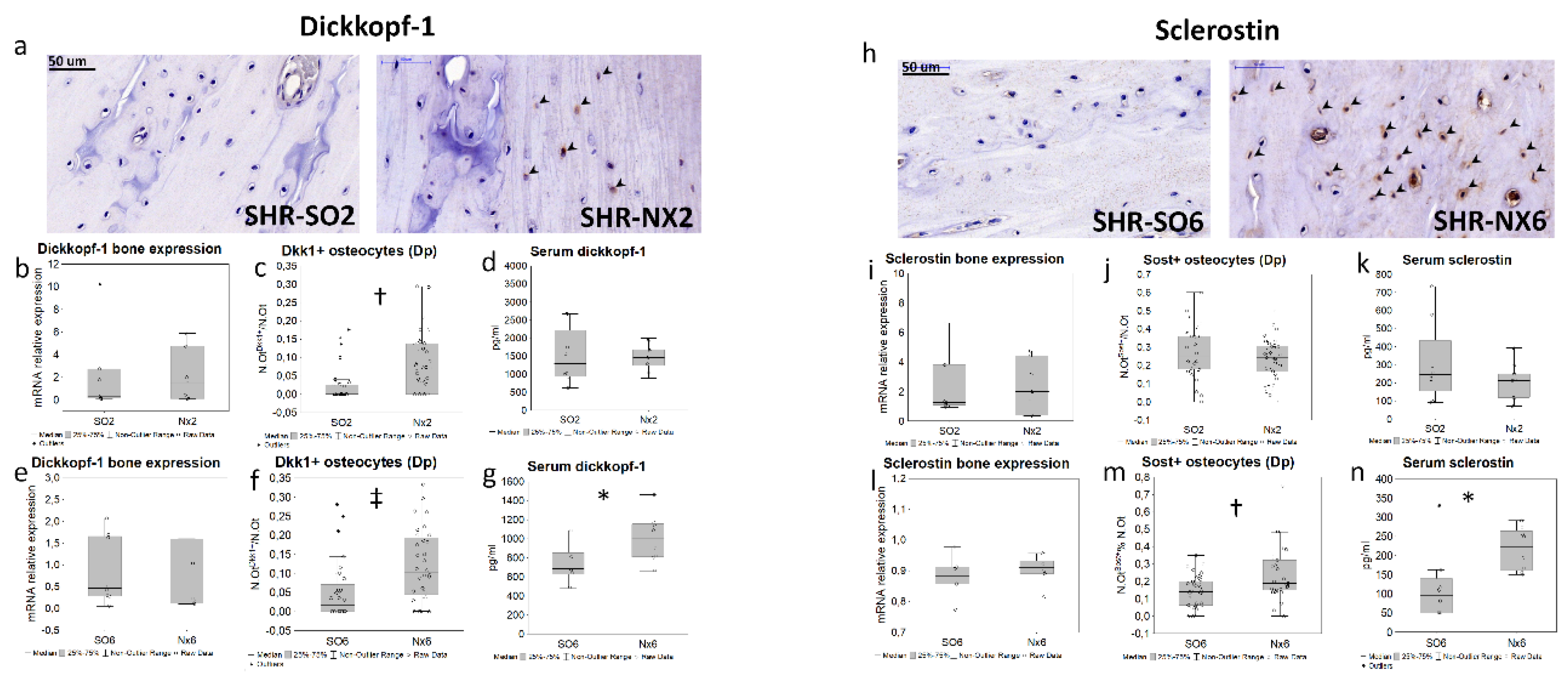 Preprints 68576 g002