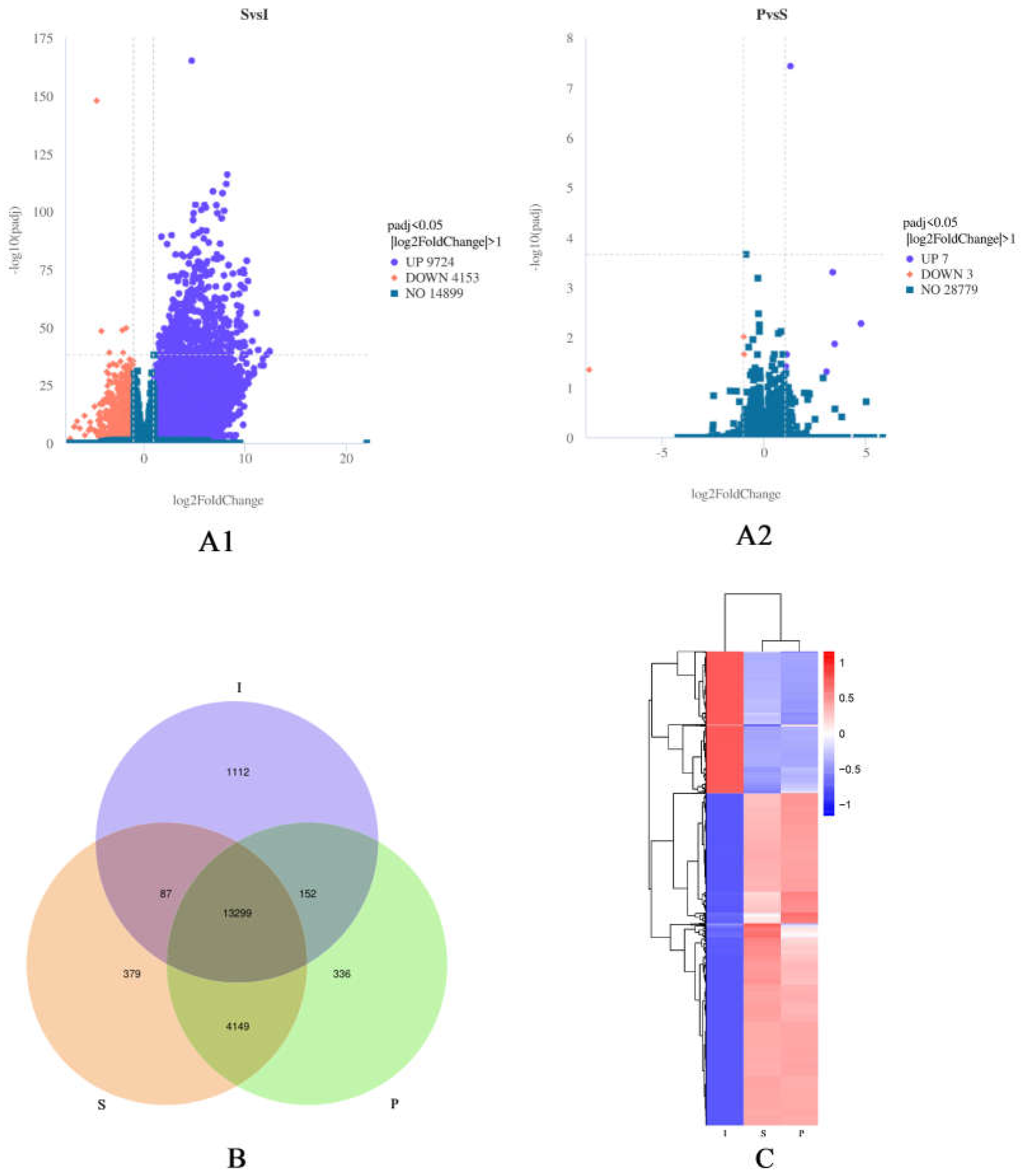 Preprints 71684 g002