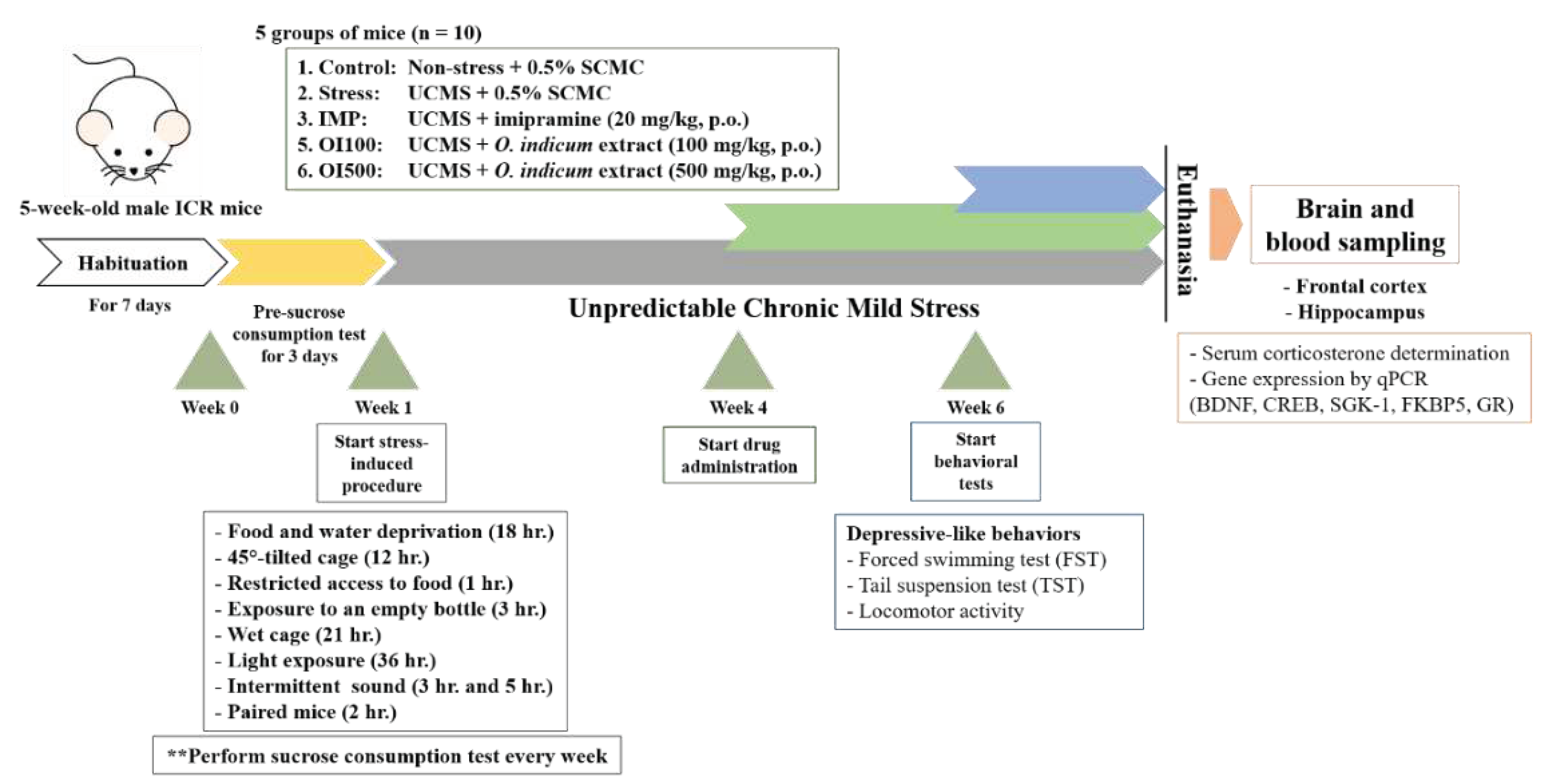 Preprints 83200 g002