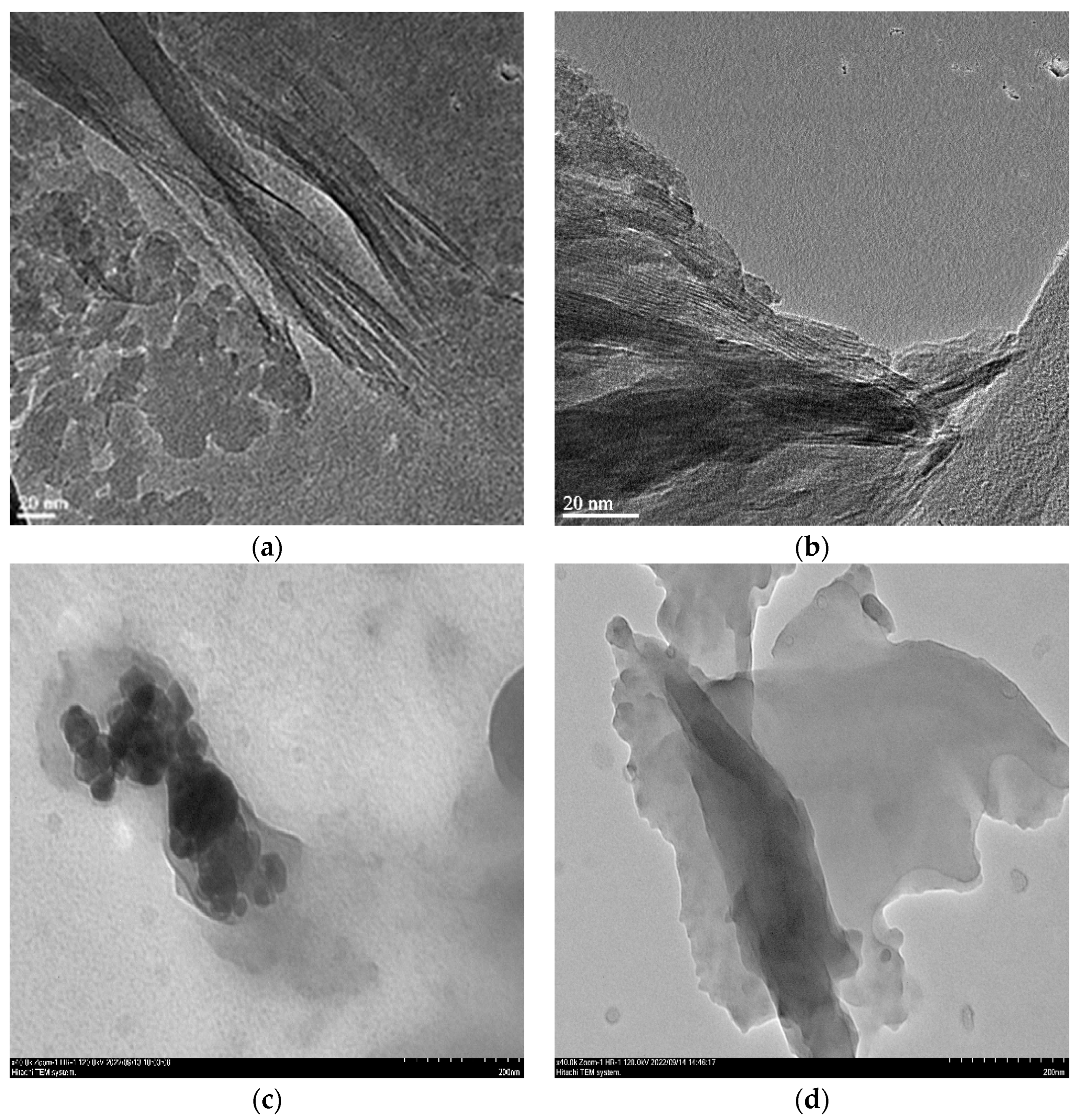 Preprints 92217 g001