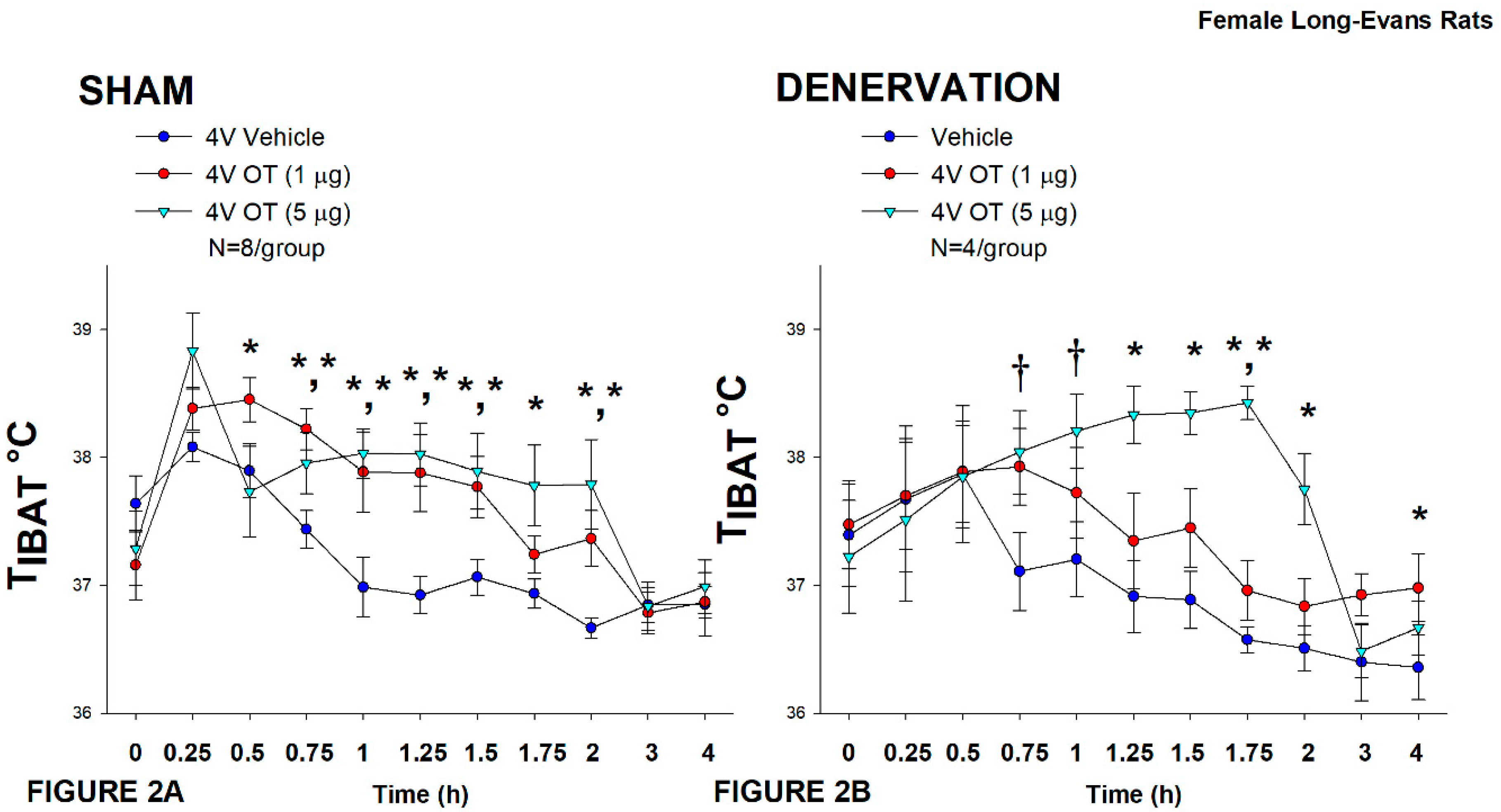 Preprints 120303 g002