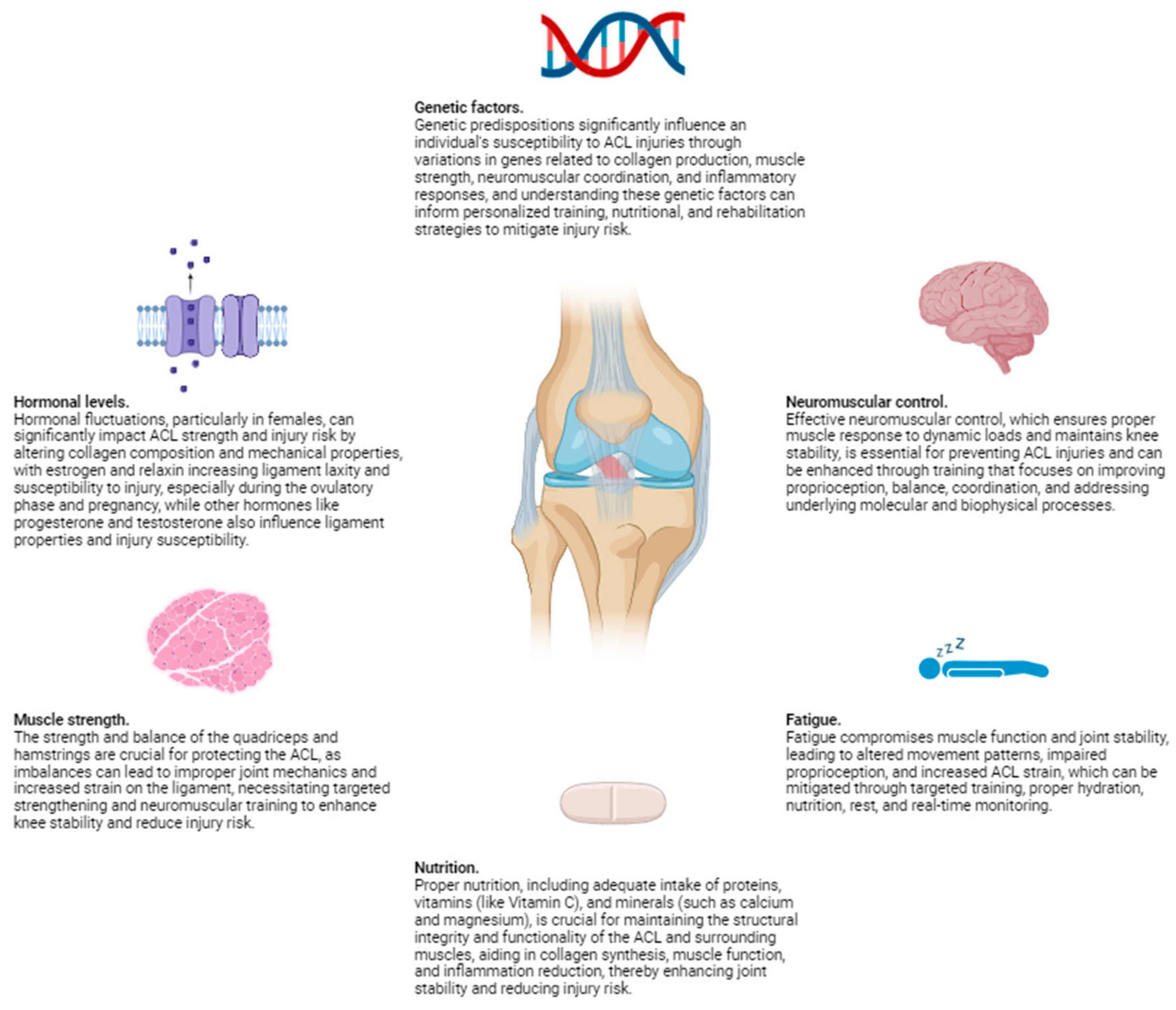 Preprints 115033 g002