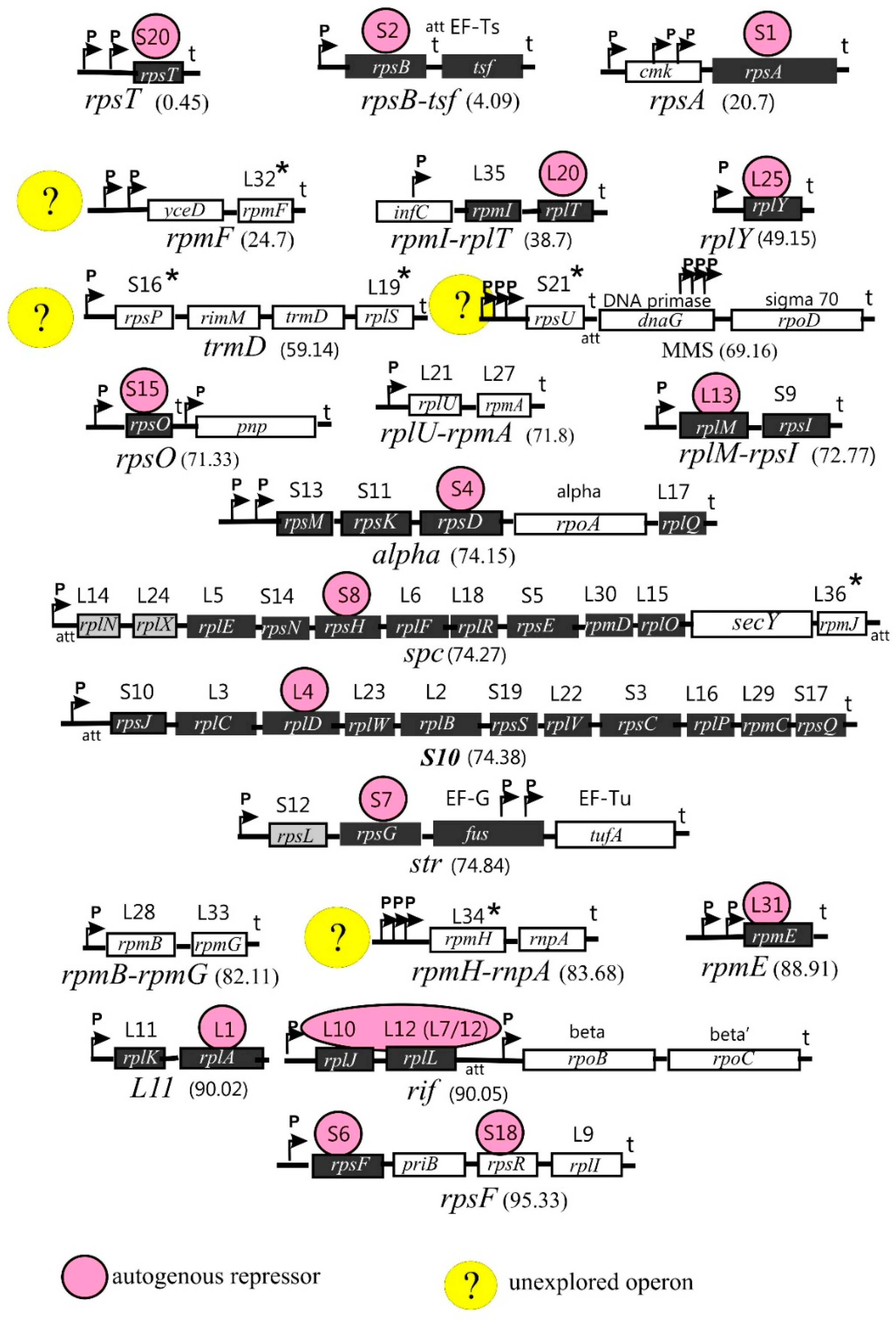 Preprints 97338 g001