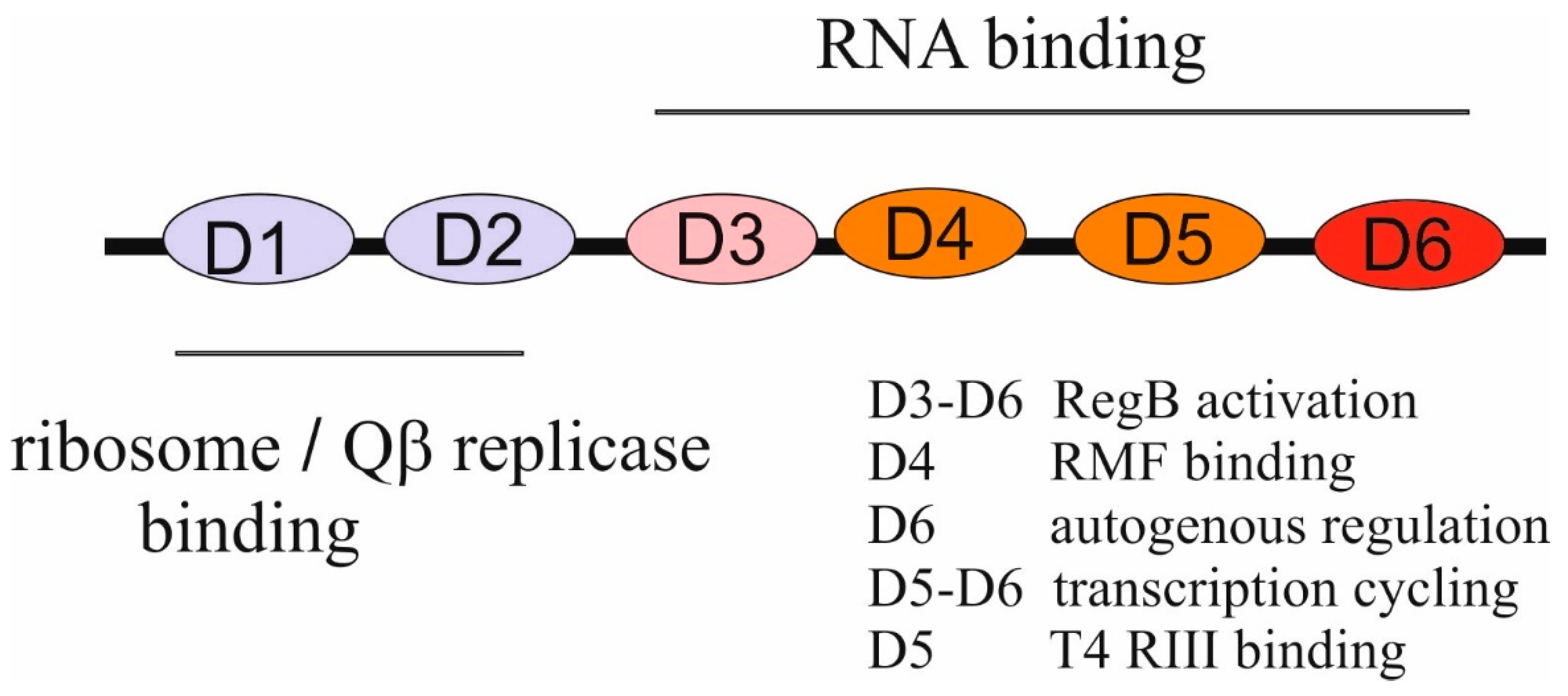 Preprints 97338 g002