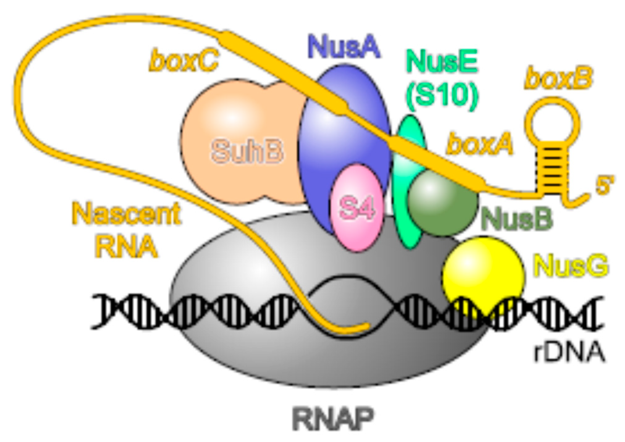 Preprints 97338 g003