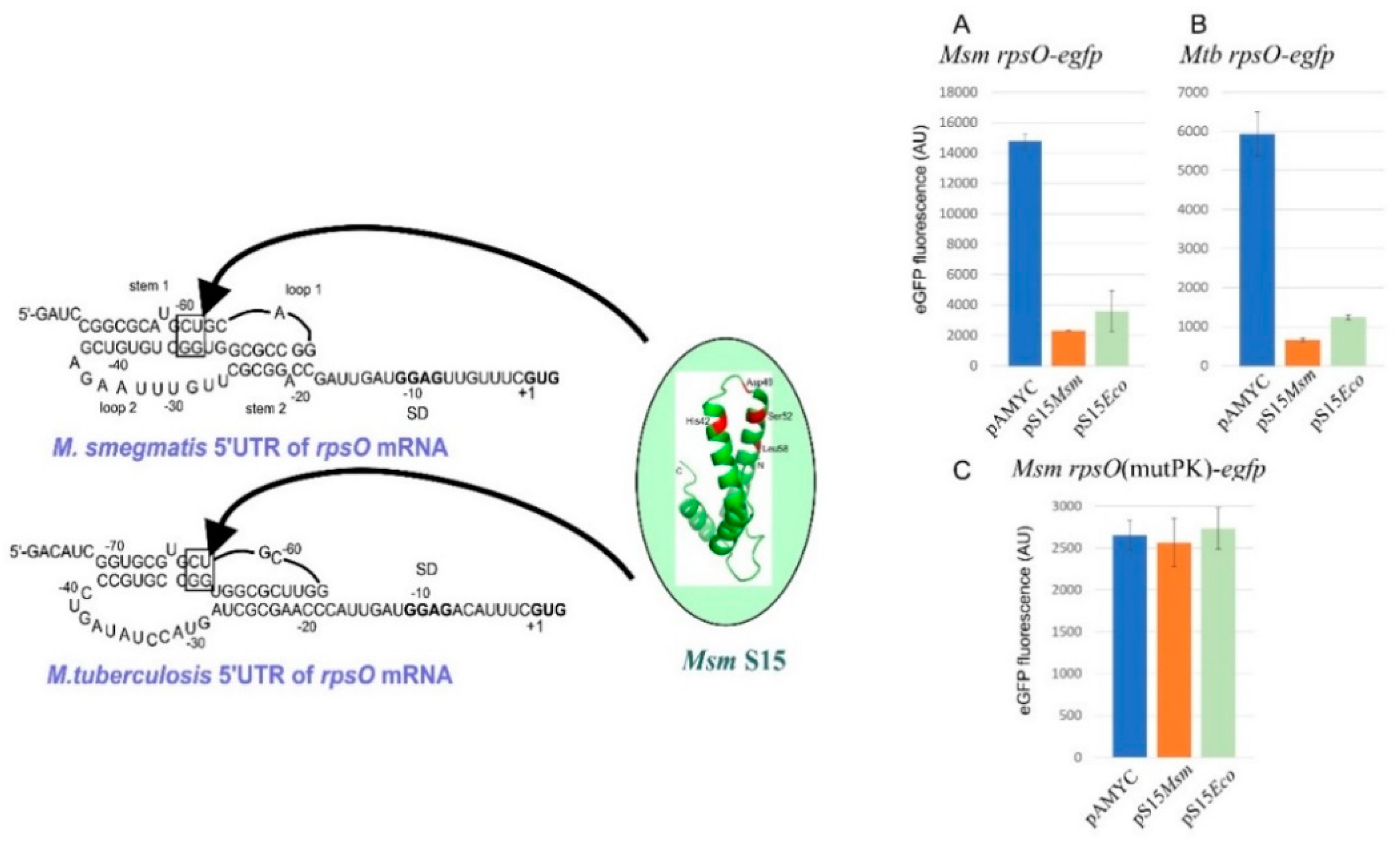 Preprints 97338 g004