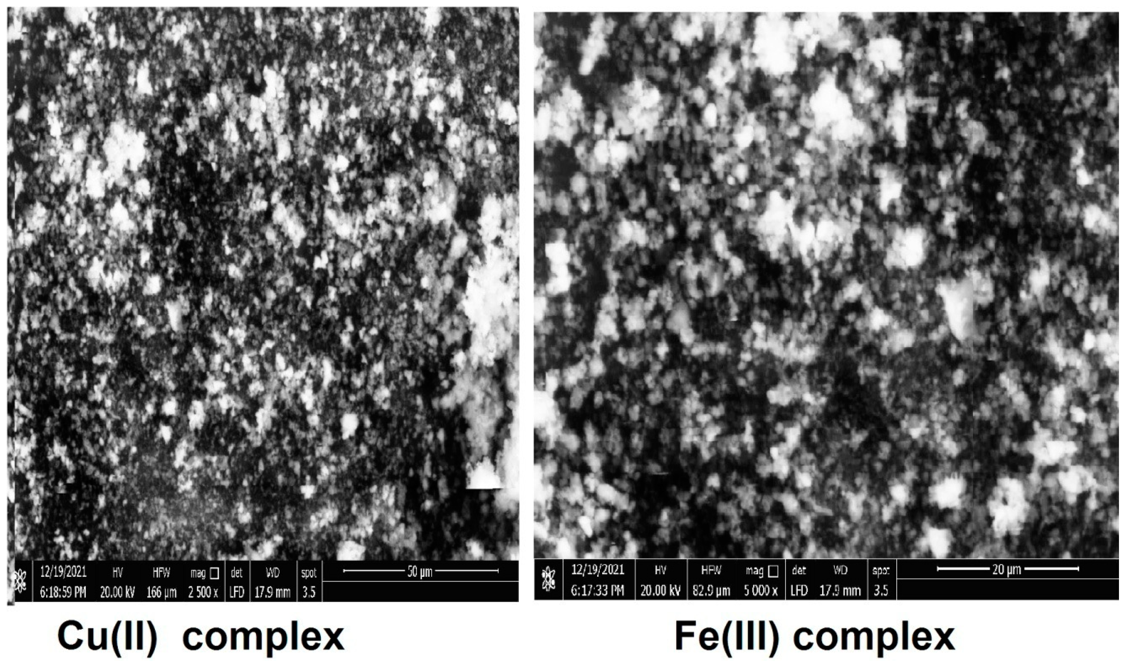 Preprints 88695 g004