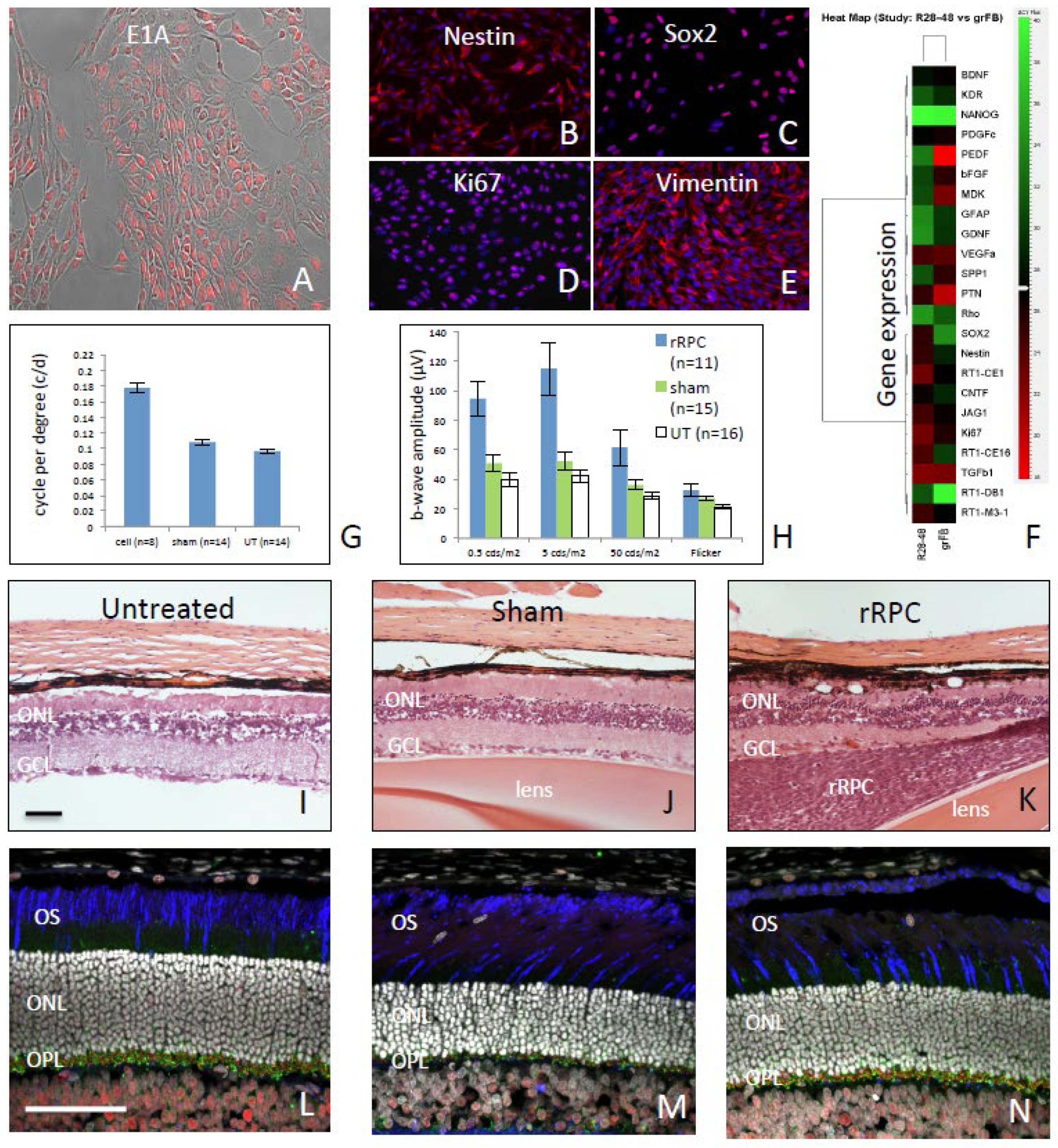 Preprints 108290 g001