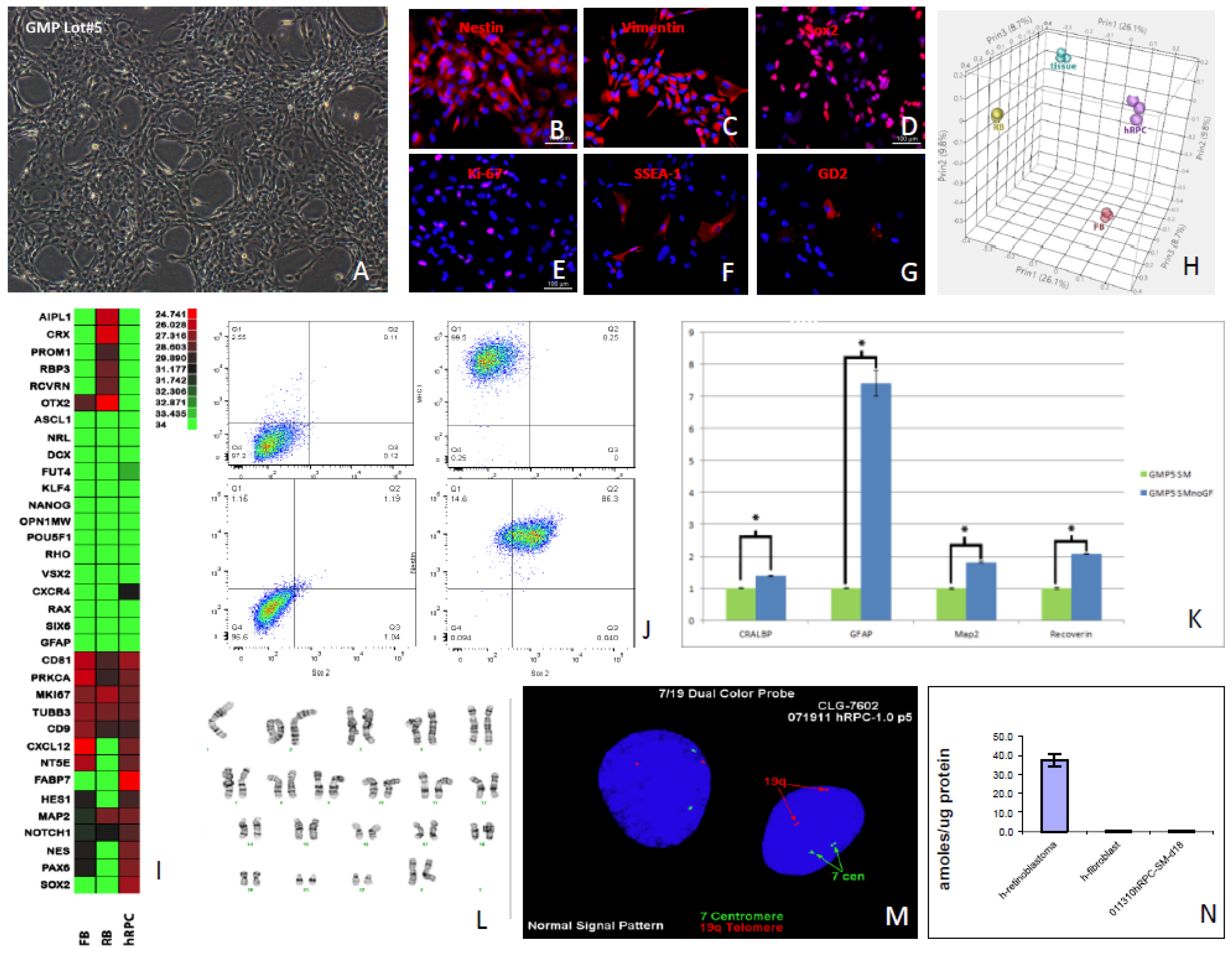 Preprints 108290 g002a