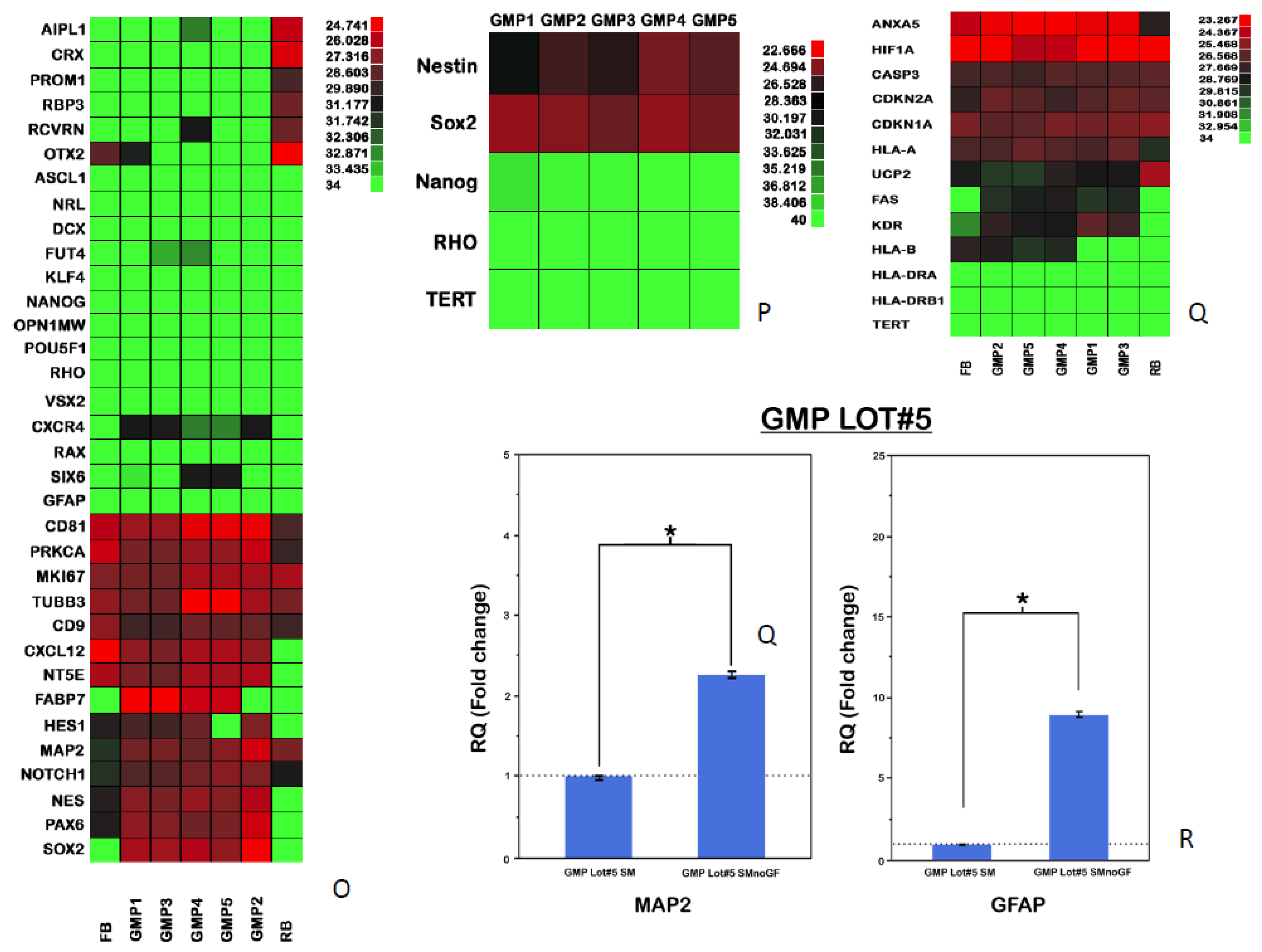 Preprints 108290 g002b