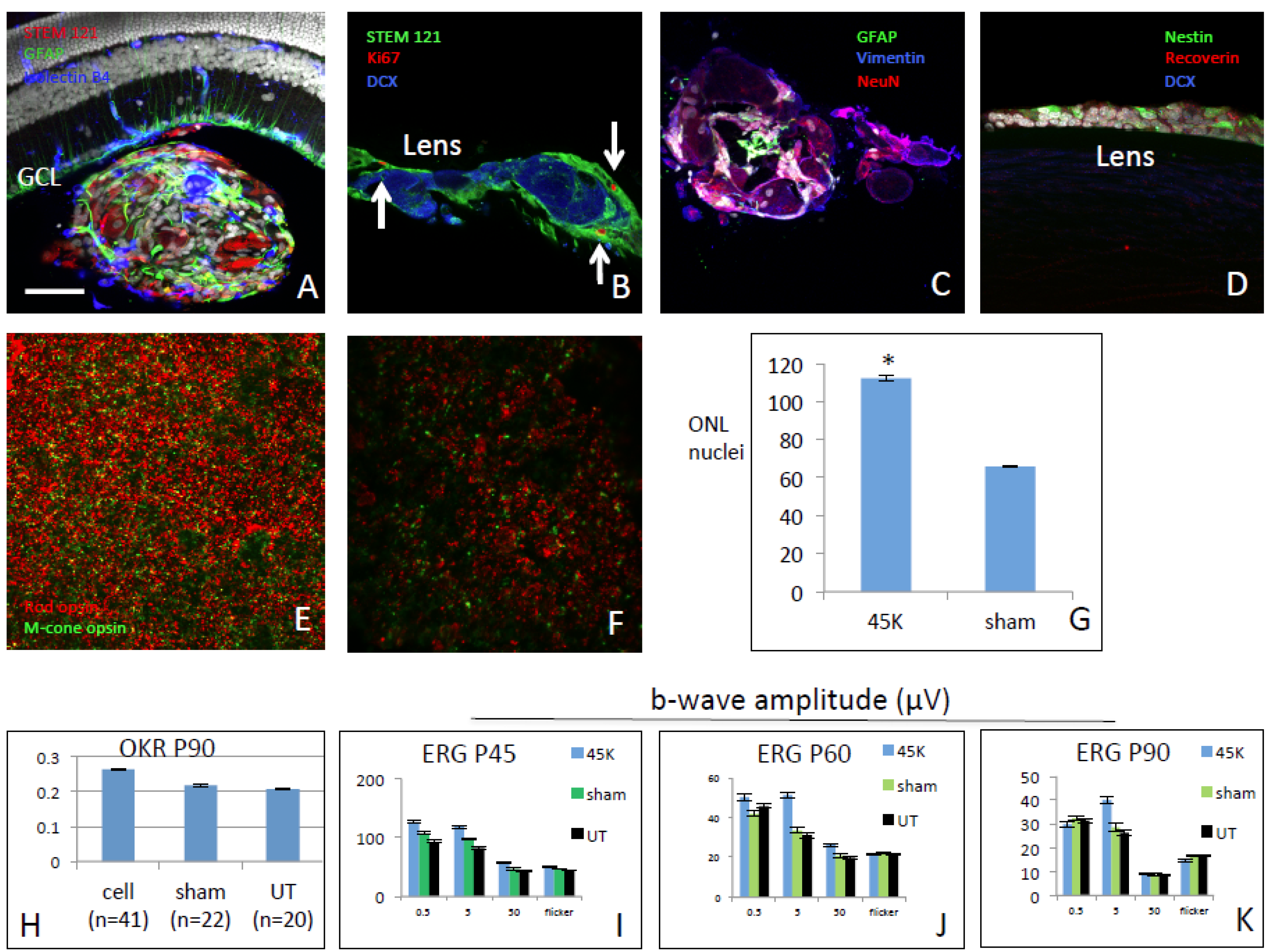 Preprints 108290 g003