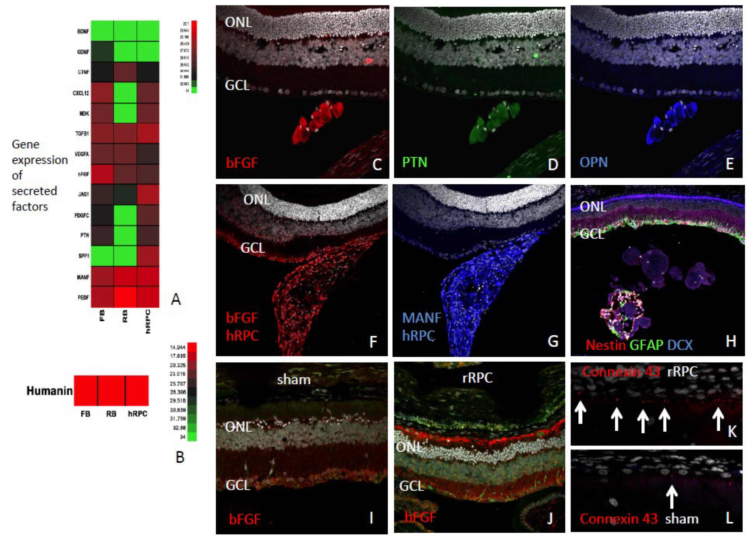 Preprints 108290 g004