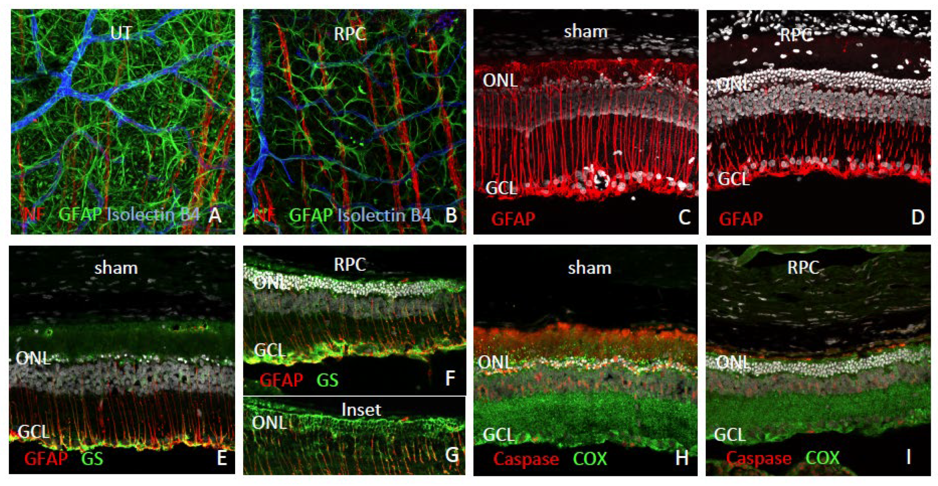 Preprints 108290 g005