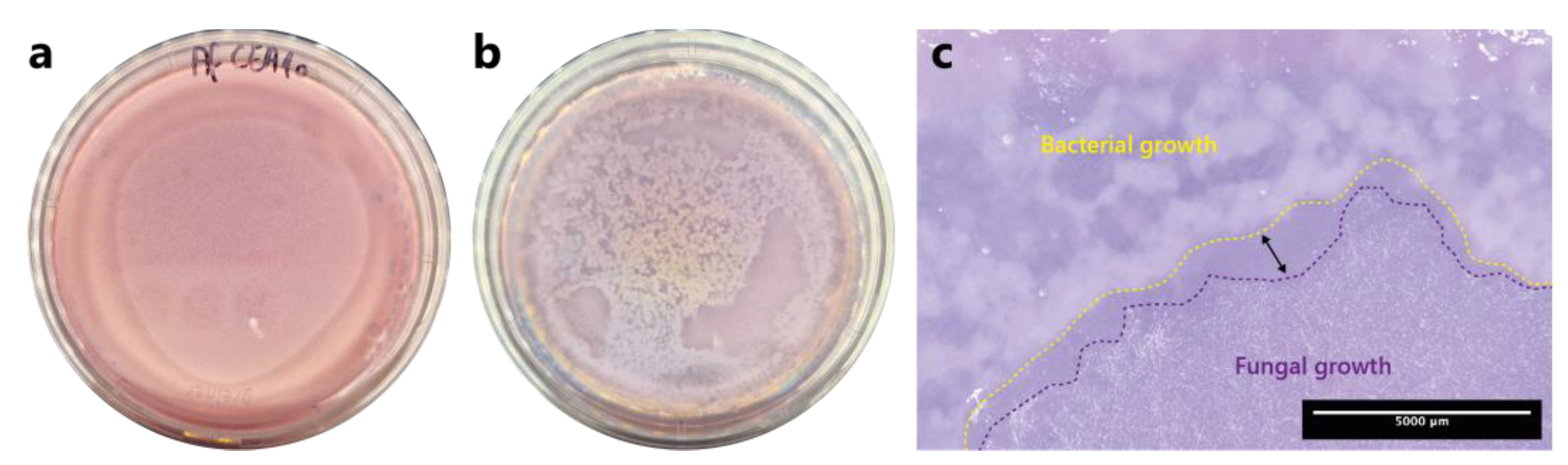 Preprints 75163 g001