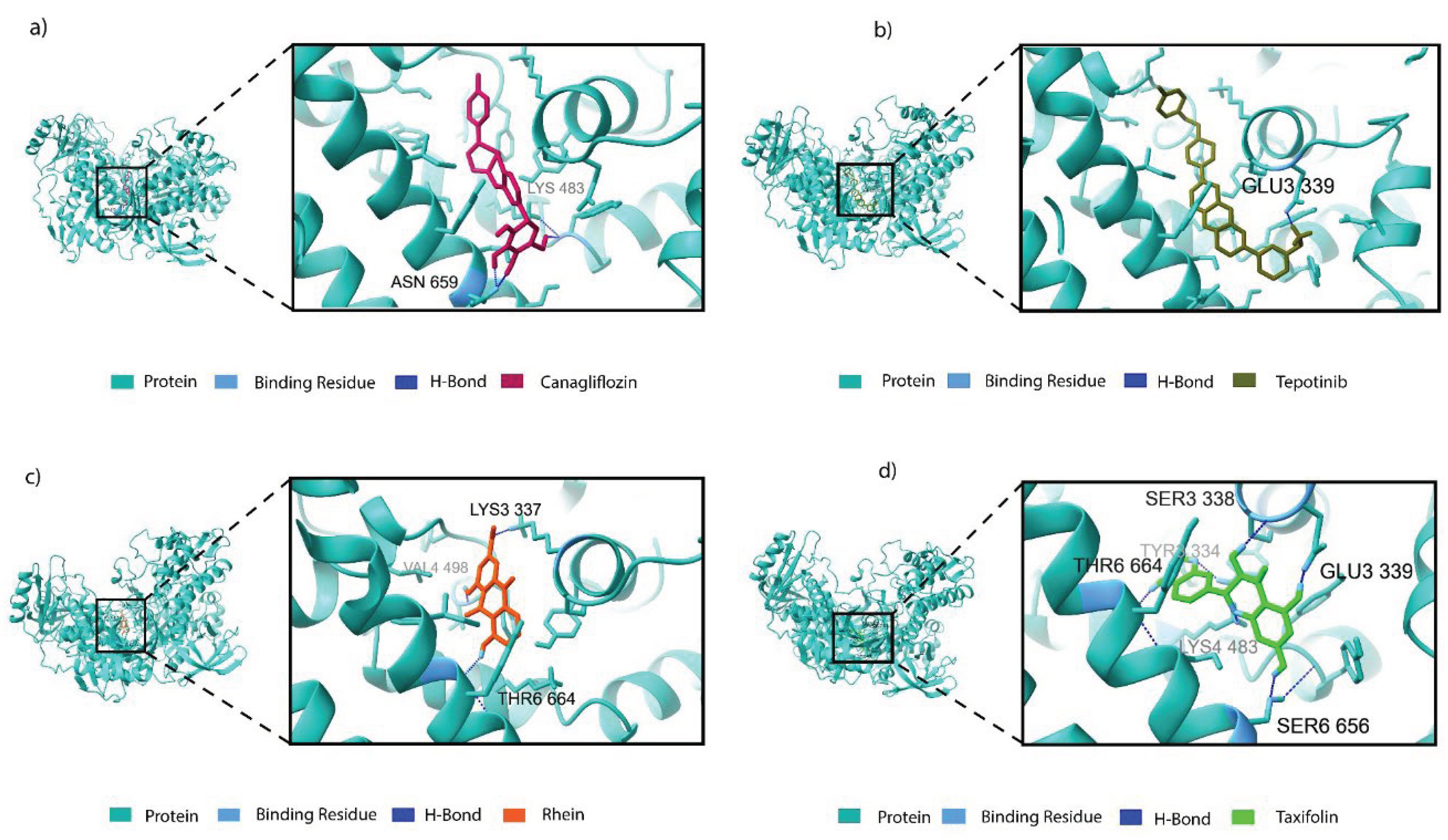 Preprints 100339 g006