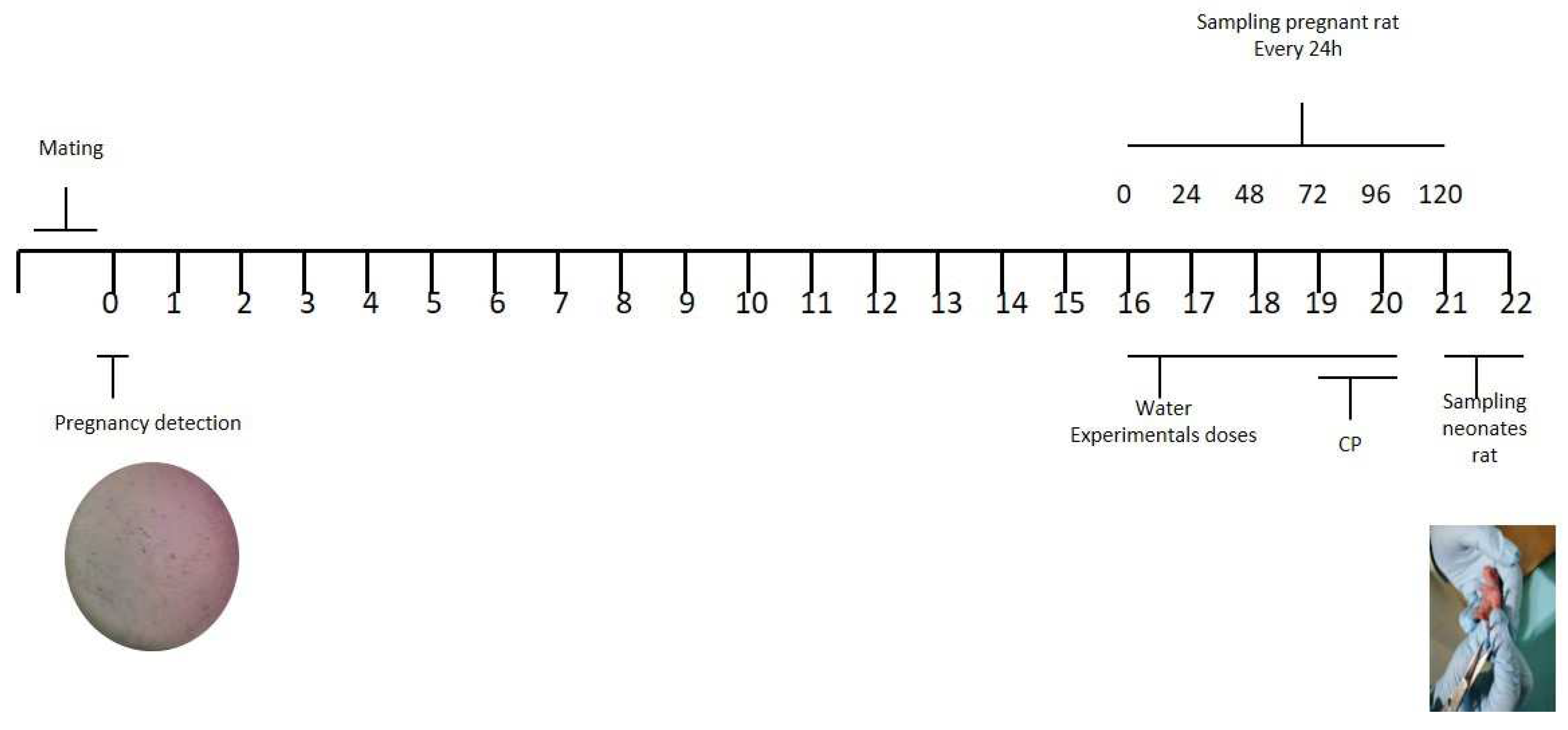 Preprints 73465 g003