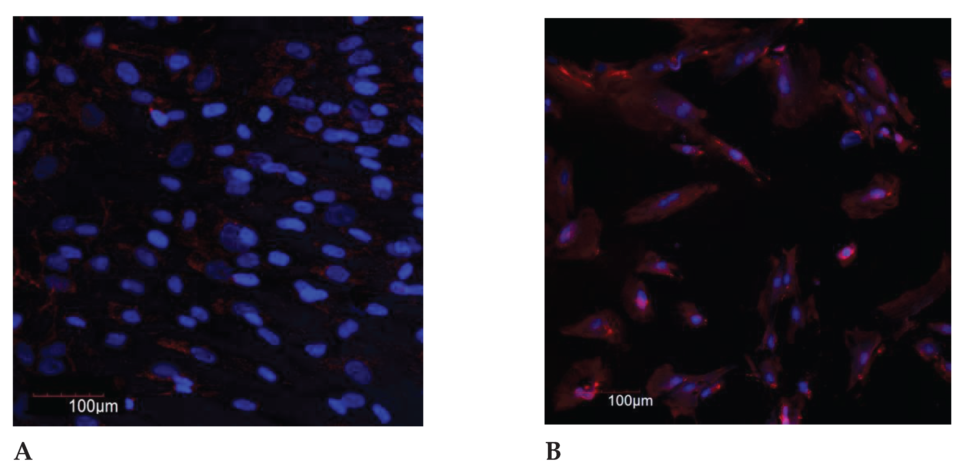 Preprints 103395 g002a