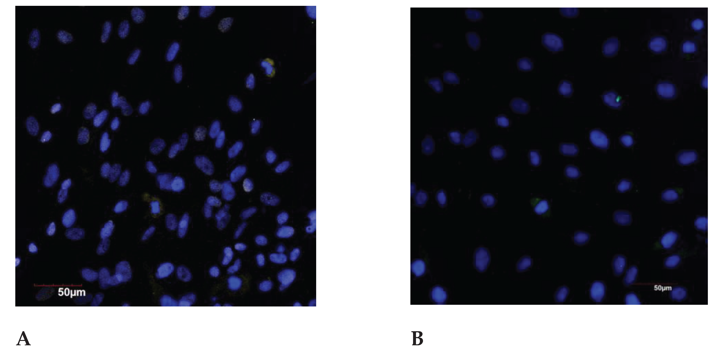 Preprints 103395 g004a